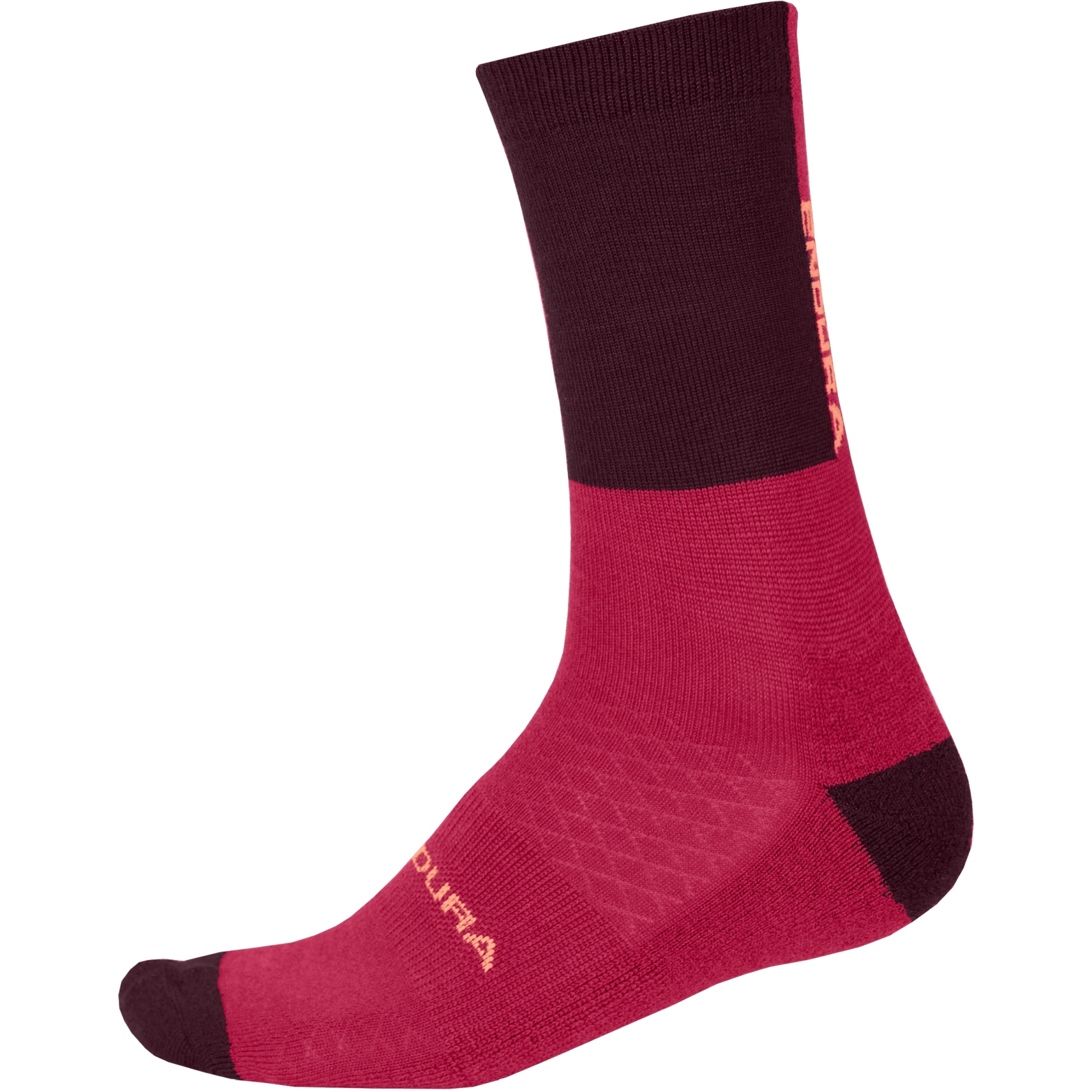 Calze Donna Kindy – Puro Cotone Jersey – Cucitura Piatta – Taglia Unica 37-41 – Colori Vari