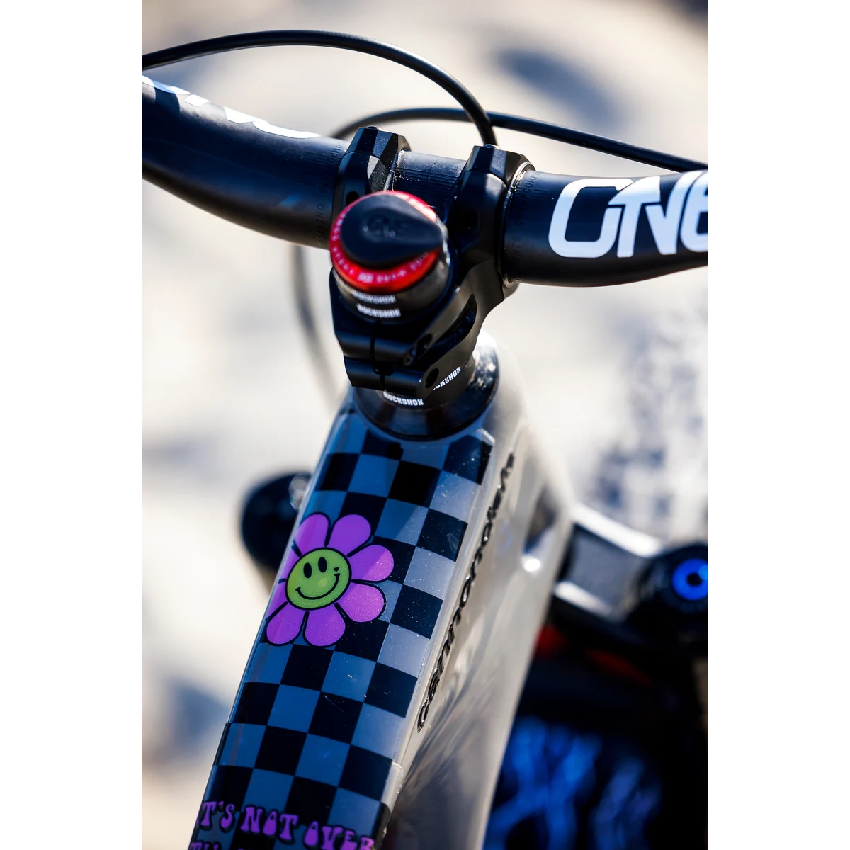 Kuva tuotteesta DYEDBRO MTB Frame Protection Kit - Ella Conolly Signature Series