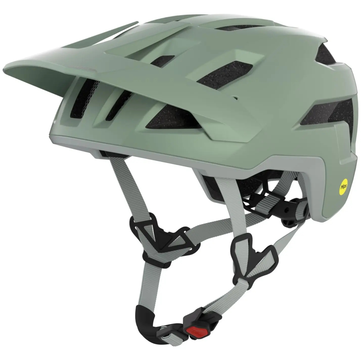 Productfoto van Alpina Casco Bici - Taunus MIPS - willow-green matt