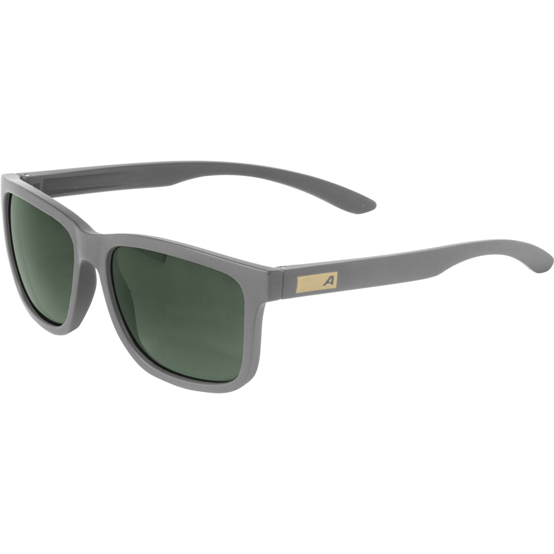 Produktbild von Alpina Burst Brille - grey gloss/green