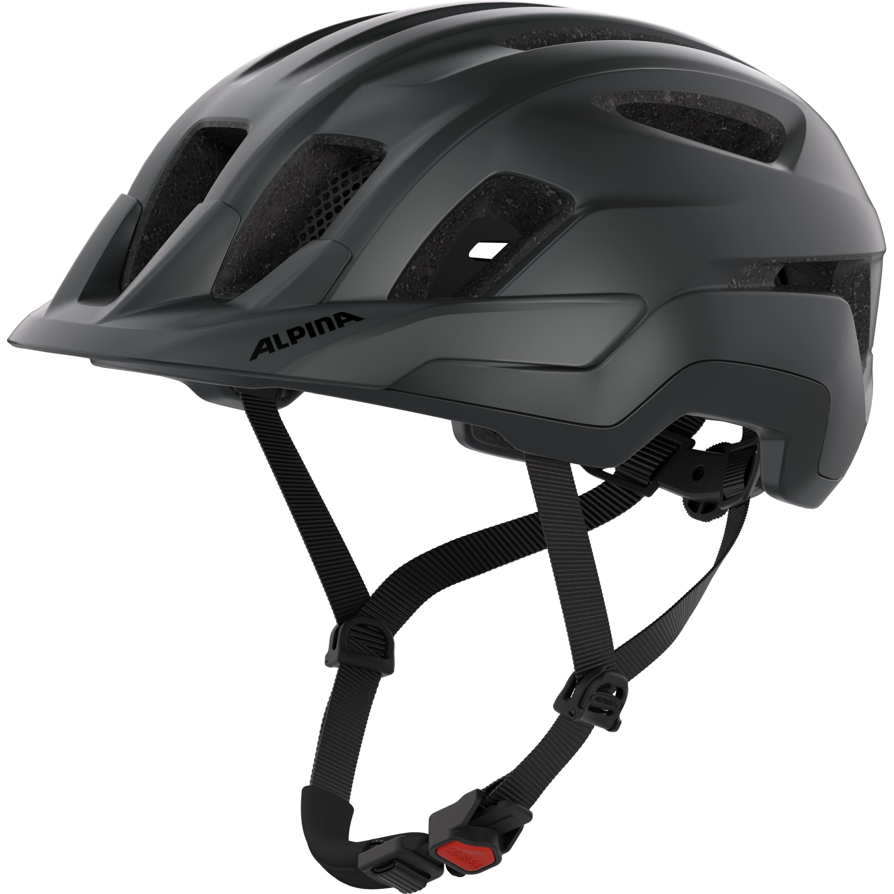 Produktbild von Alpina Paranus Helm - black matt