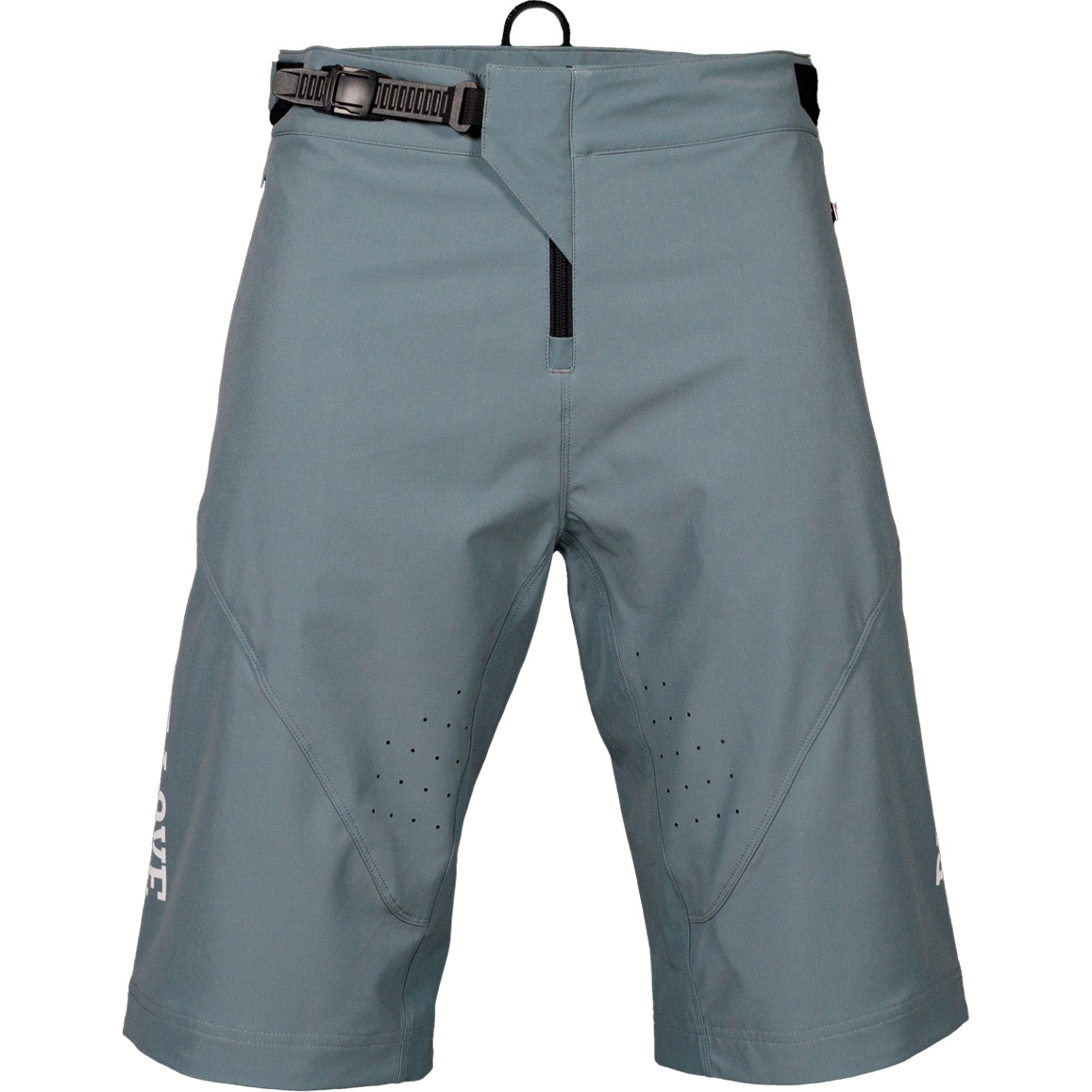 Picture of Dirt Love Mission Pro MTB Shorts - sage