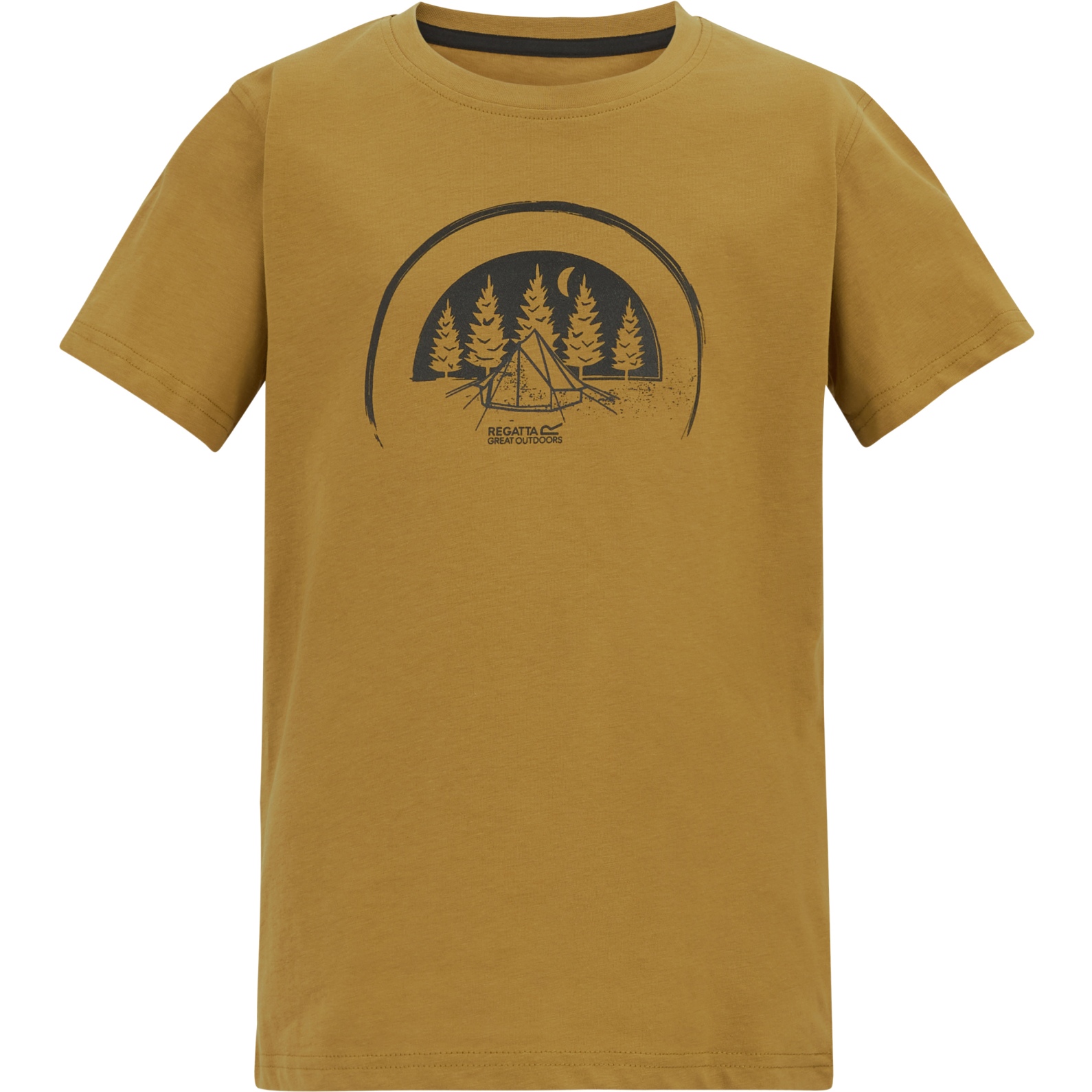 Детская футболка Regatta Bosley - Wood Brown ZIQ brown