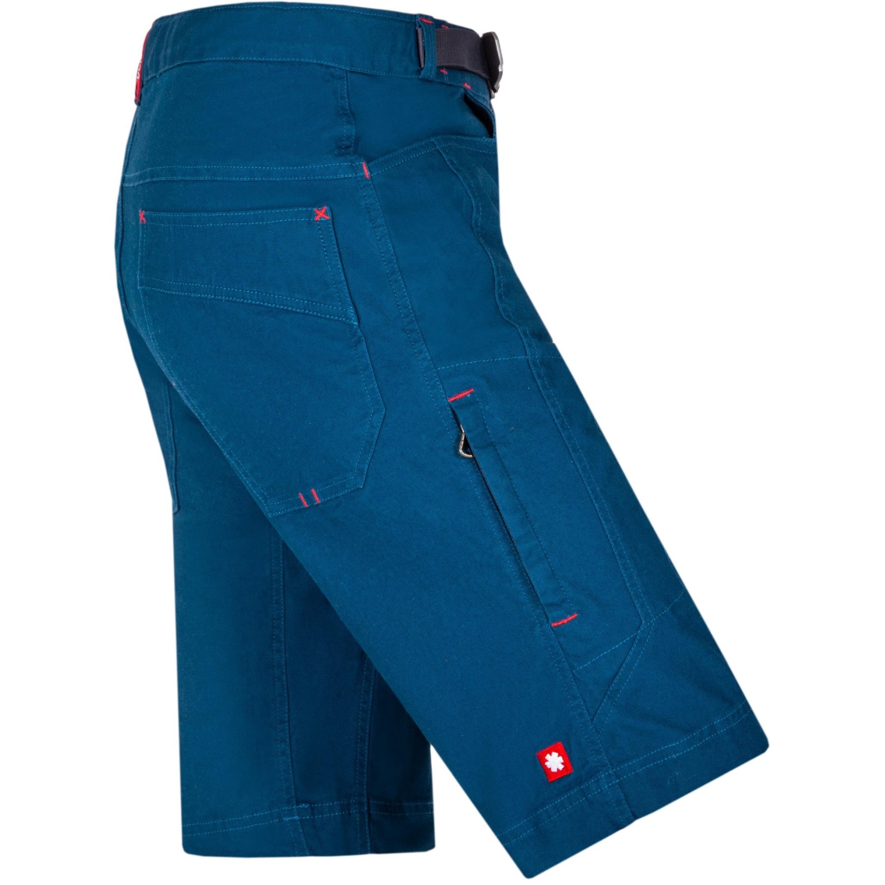 Dion 246804.jpg