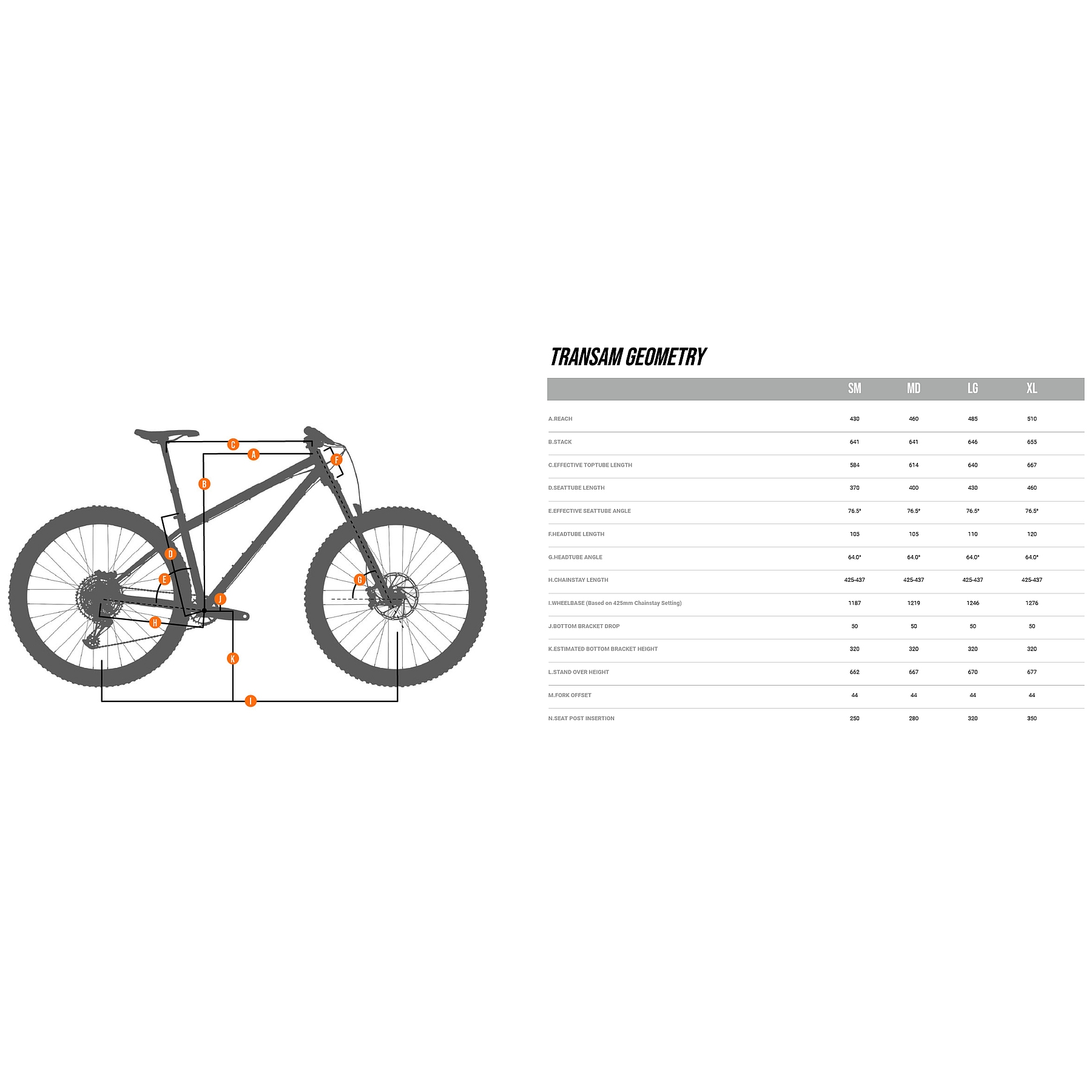 Transition TRANSAM - 29