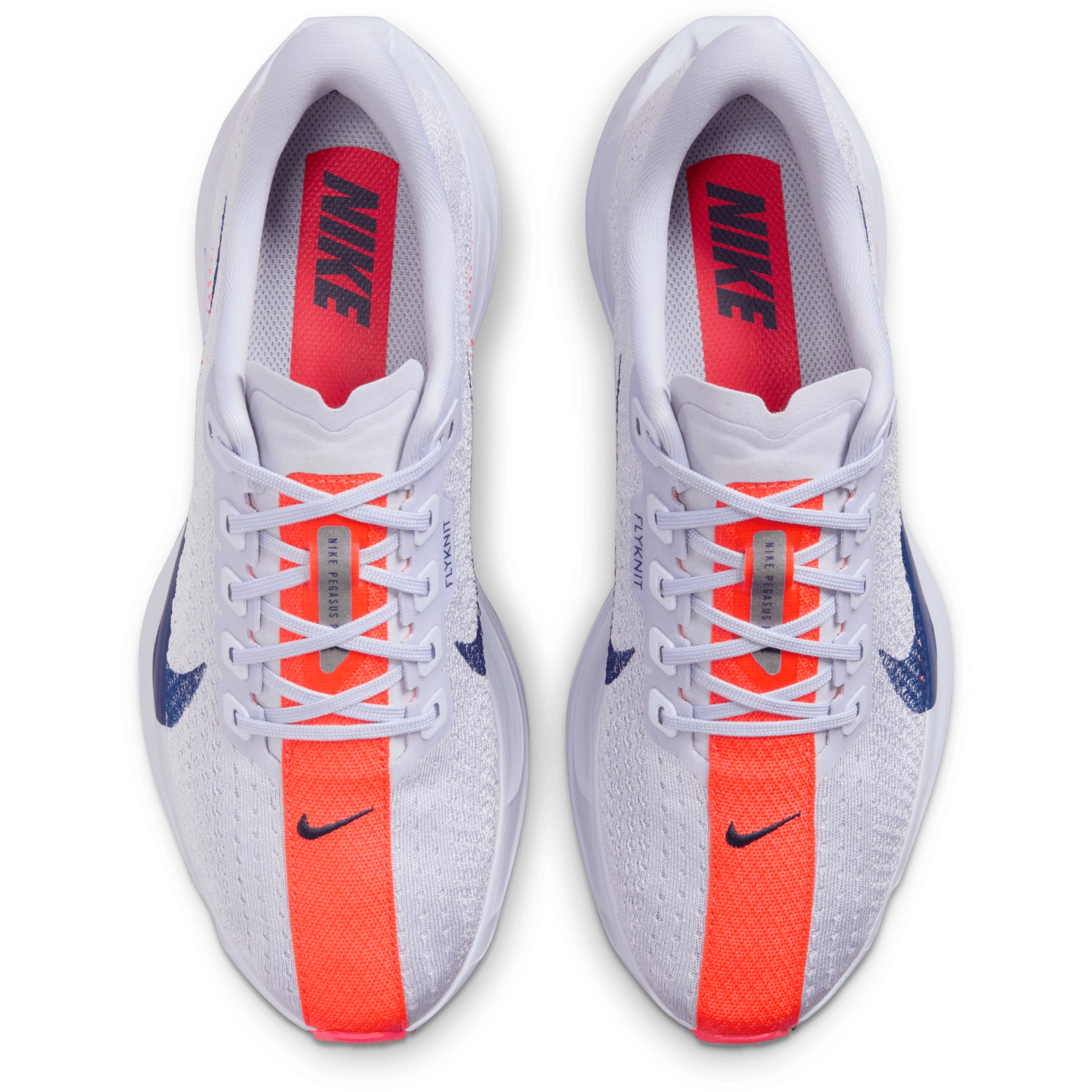 Nike Pegasus Plus Running Shoes Women - ghost/blue void-blue