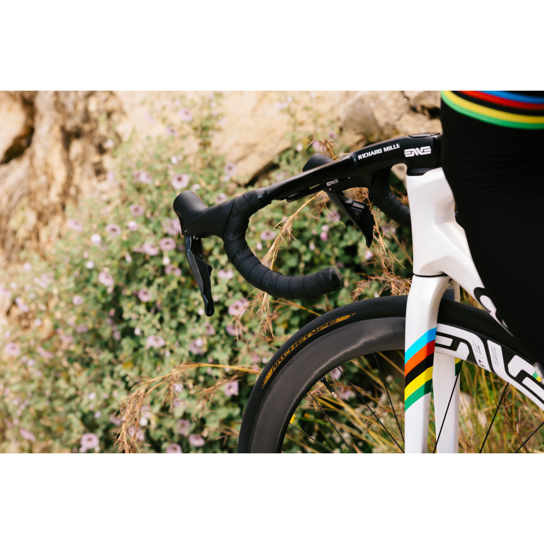 Continental Archetype Folding Tire - Tour de France Limited