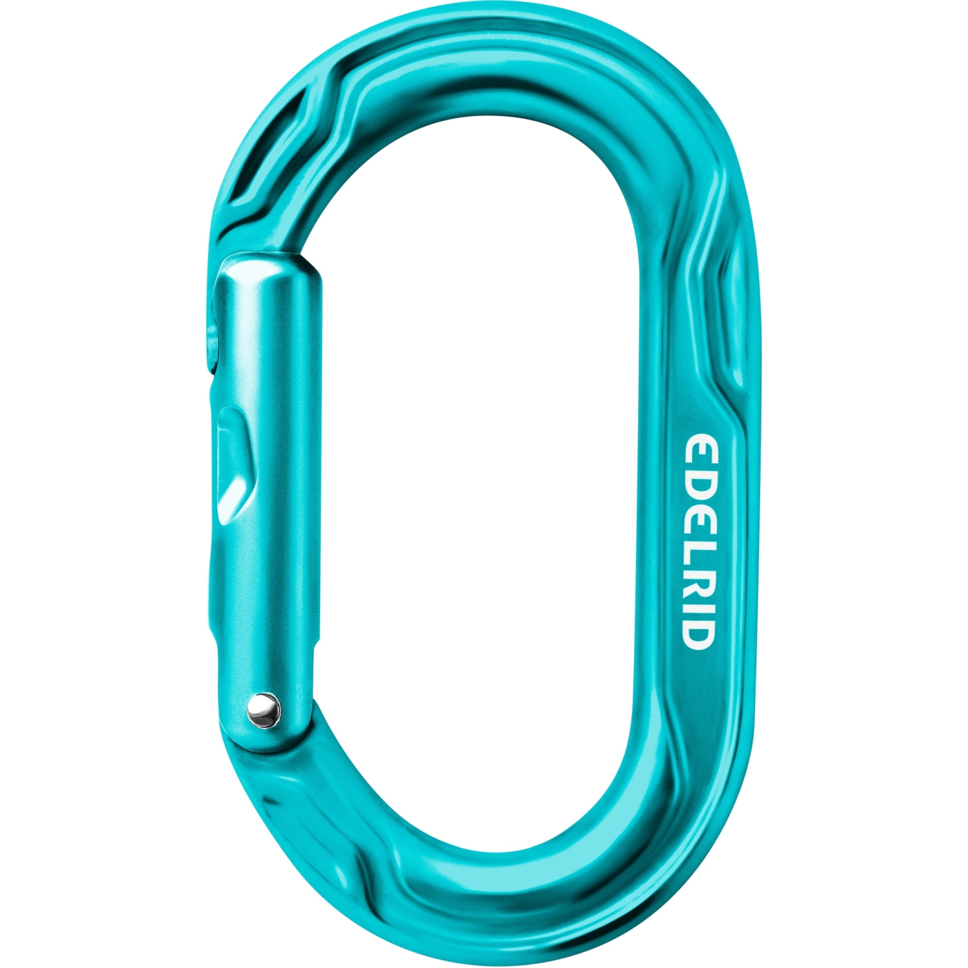 Picture of Edelrid Kiwi Carabiner - icemint