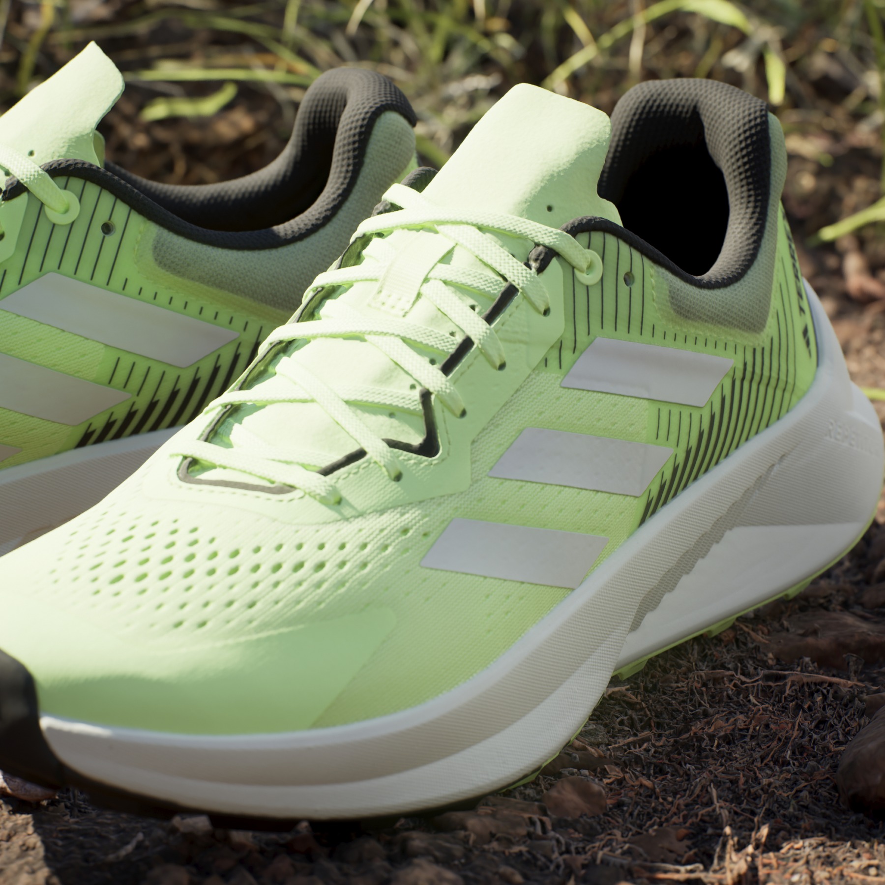 Adidas terrex shoes 2018 online