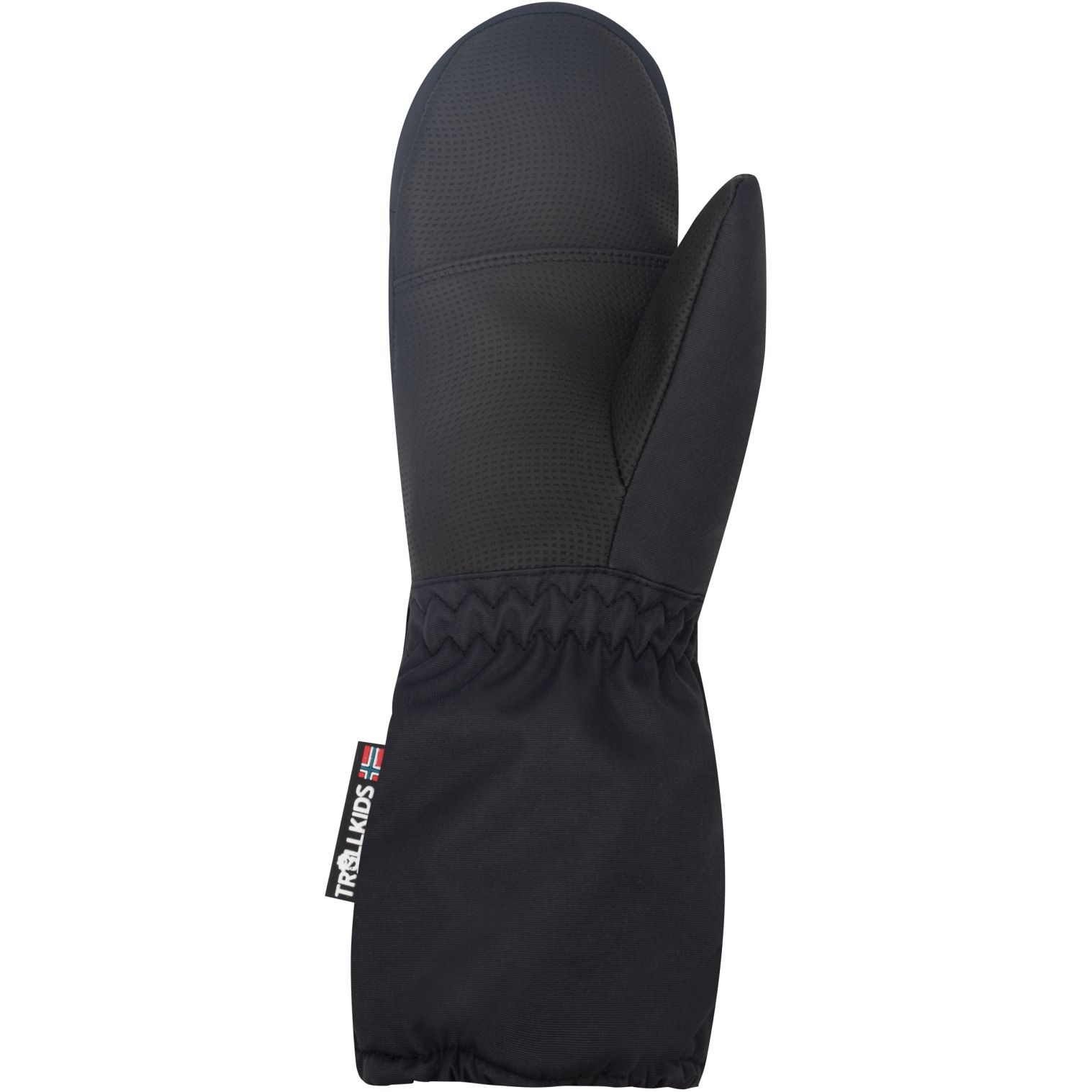 tent t Telos Evo age:5-years Boss CE 3 Chorus YEAR:JK (2007-2018)