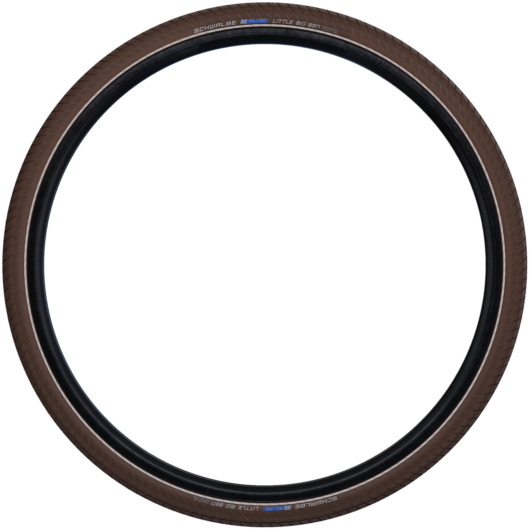 Schwalbe
