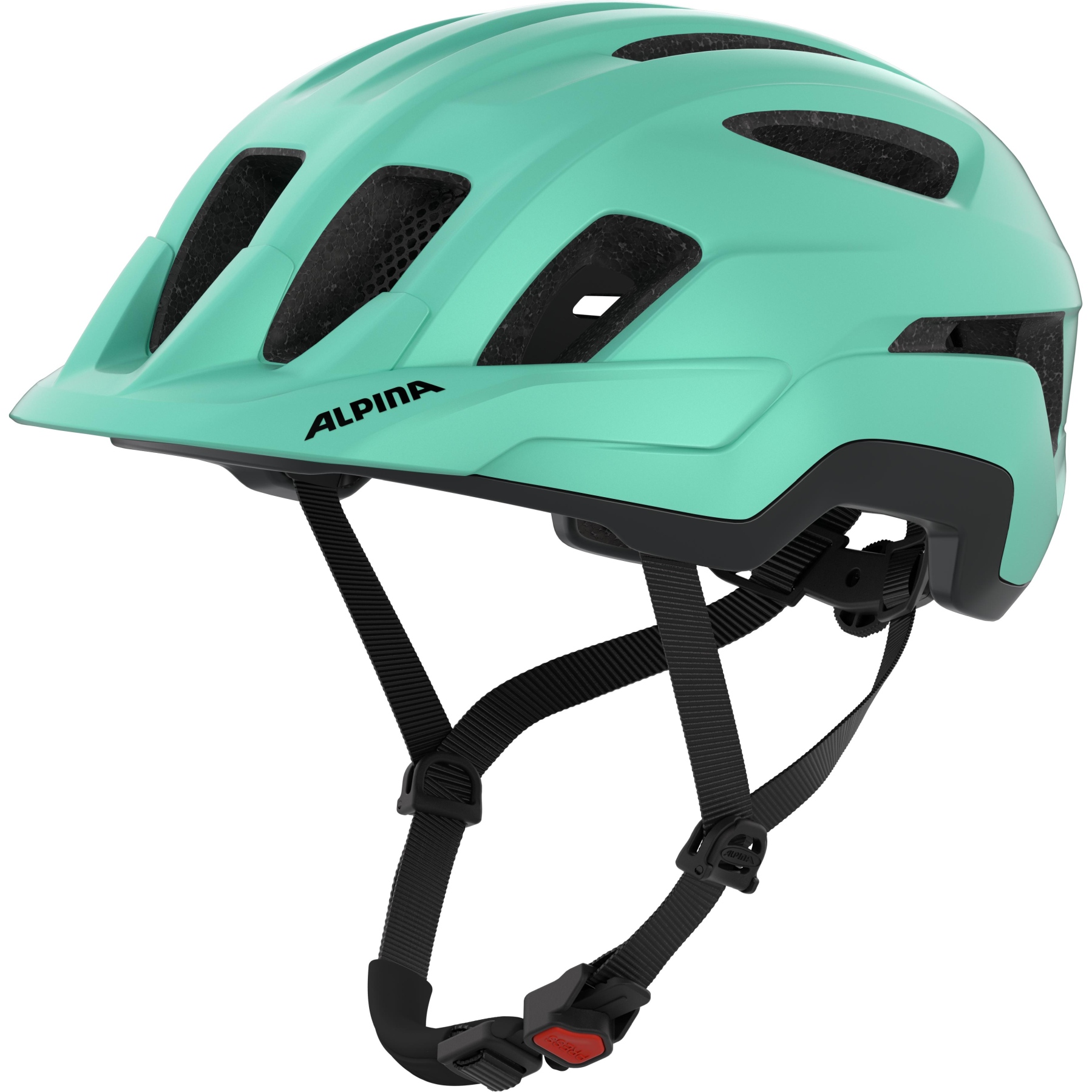 Produktbild von Alpina Paranus Helm - turquoise matt