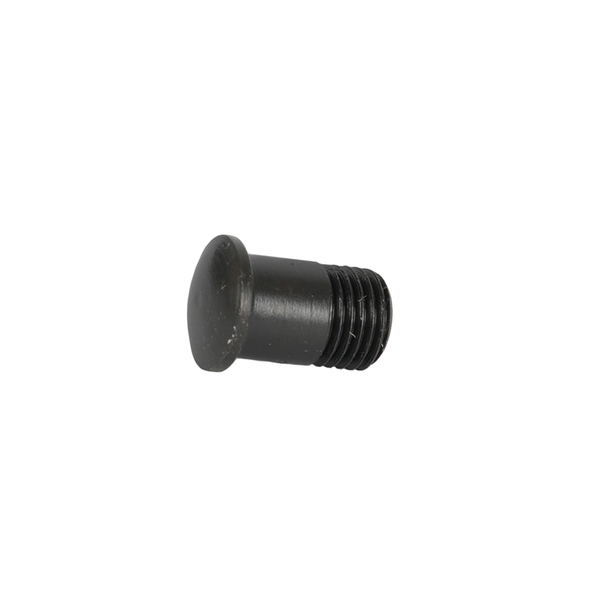 Picture of Campagnolo UT-WH020 Magnet-Attracting Nipple Insert for Eurus / Shamal / Ultra