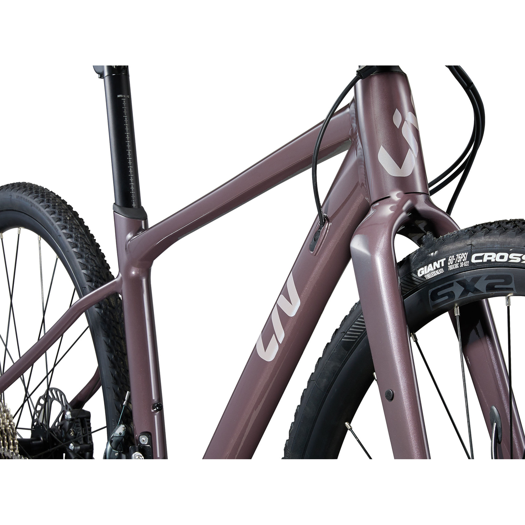 Liv bike frame online