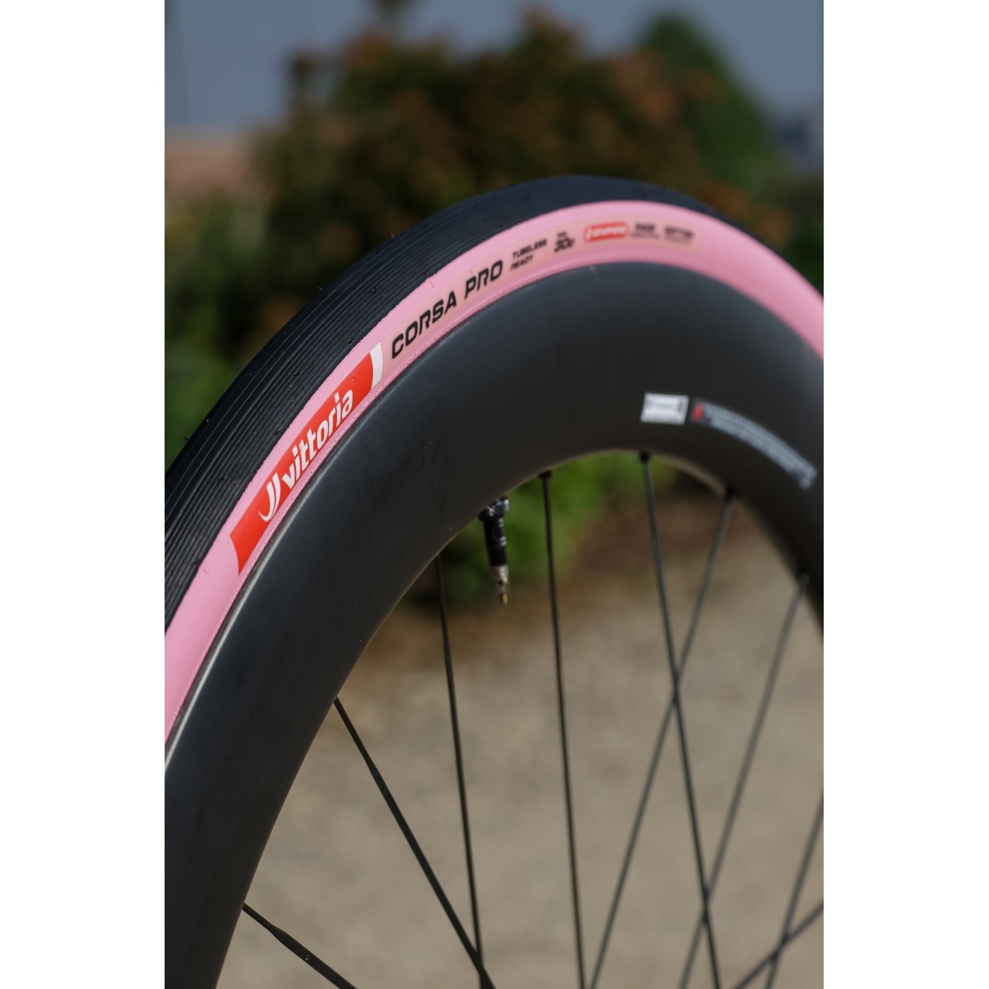 Vittoria Corsa Pro - TLR - Folding Tire - 28-622 | pink - Limited