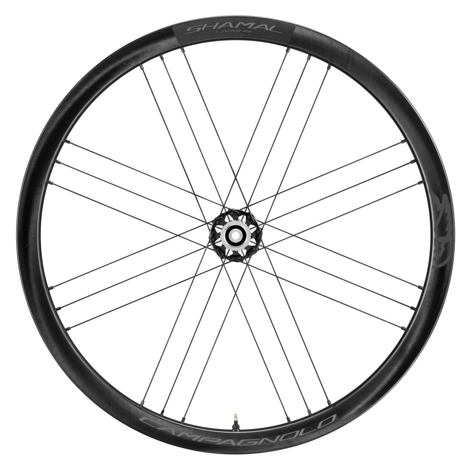 パーツ CAMPAGNOLO SHAMAL CARBON DISC 2WAY-FIT CAMPAGNOLO 2024 SHAMAL CARBON DB DISC BRAKE 2WAY-FIT