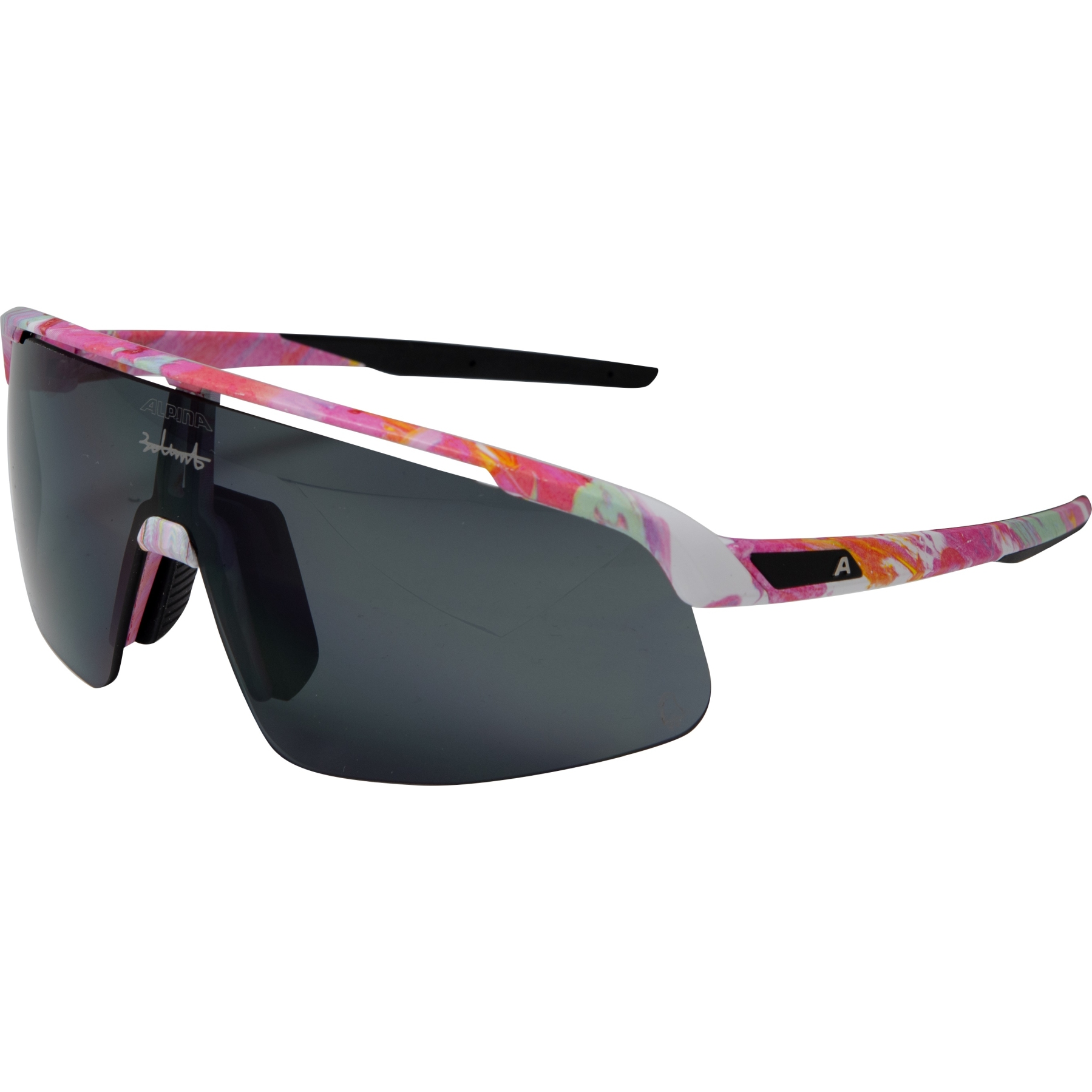 Produktbild von Alpina Turbo Pro Q-Lite Brille - Max Nerurkar Special/black