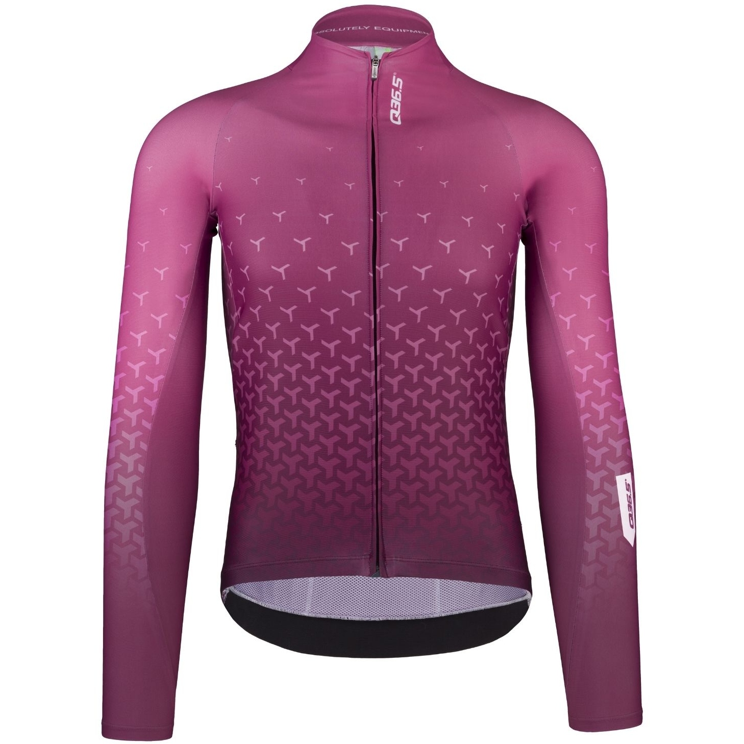 Picture of Q36.5 R2 Long Sleeve Jersey - fig
