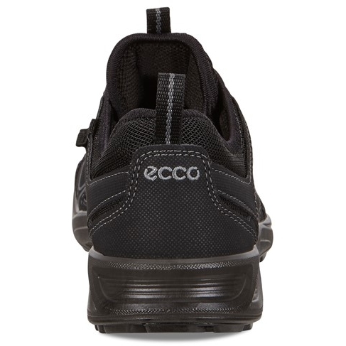 lanthan kreativ klasse Ecco Terracruise LT W Low Vent Women's Shoes - black/black | BIKE24