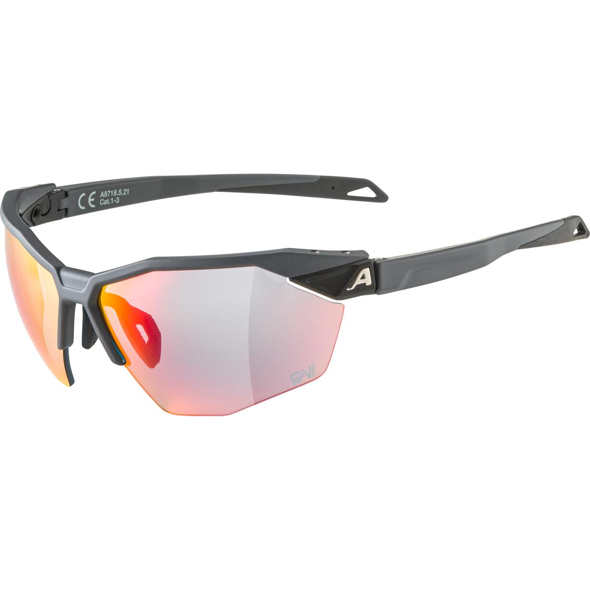 Picture of Alpina Twist Six HR QV Glasses - grey matt / Quattroflex Varioflex Rainbow Mirror
