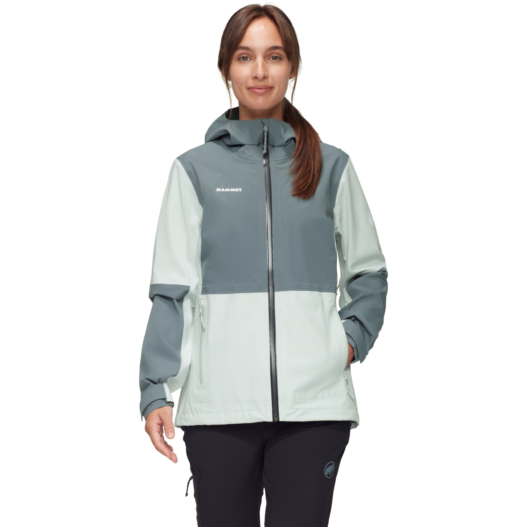 Kuva tuotteesta Mammut Linard Guide Hardshell Hooded Jacket Women - silver sage-strata