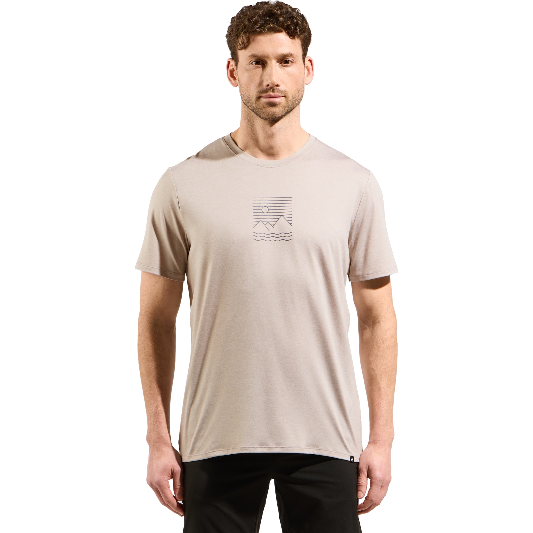 Produktbild von Odlo Ascent Sun. Sea. Mountains. T-Shirt Herren - silver cloud melange