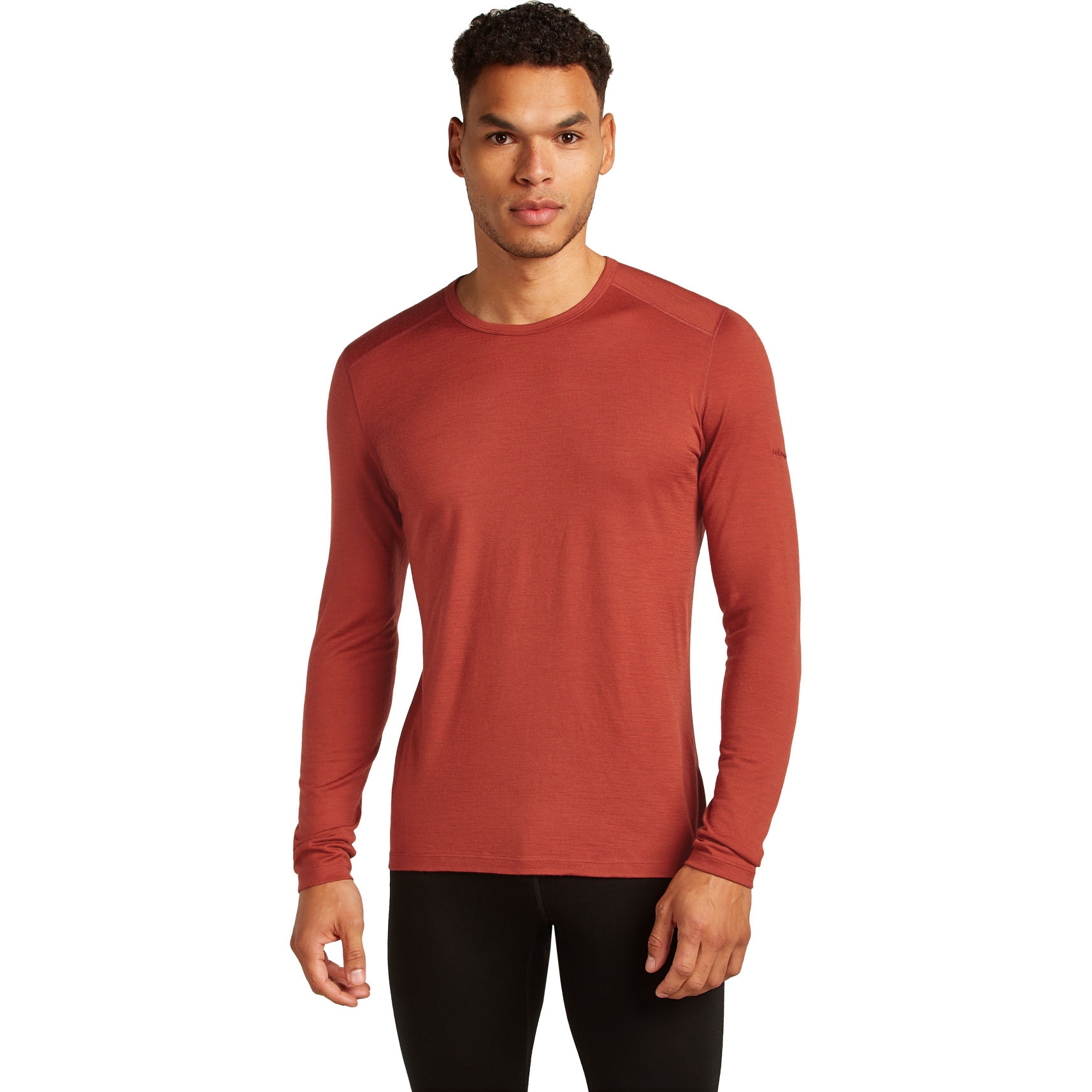 Bild von Icebreaker Merino 200 Oasis Thermo-Langarmshirt mit Rundhalsausschnitt Herren - Jasper