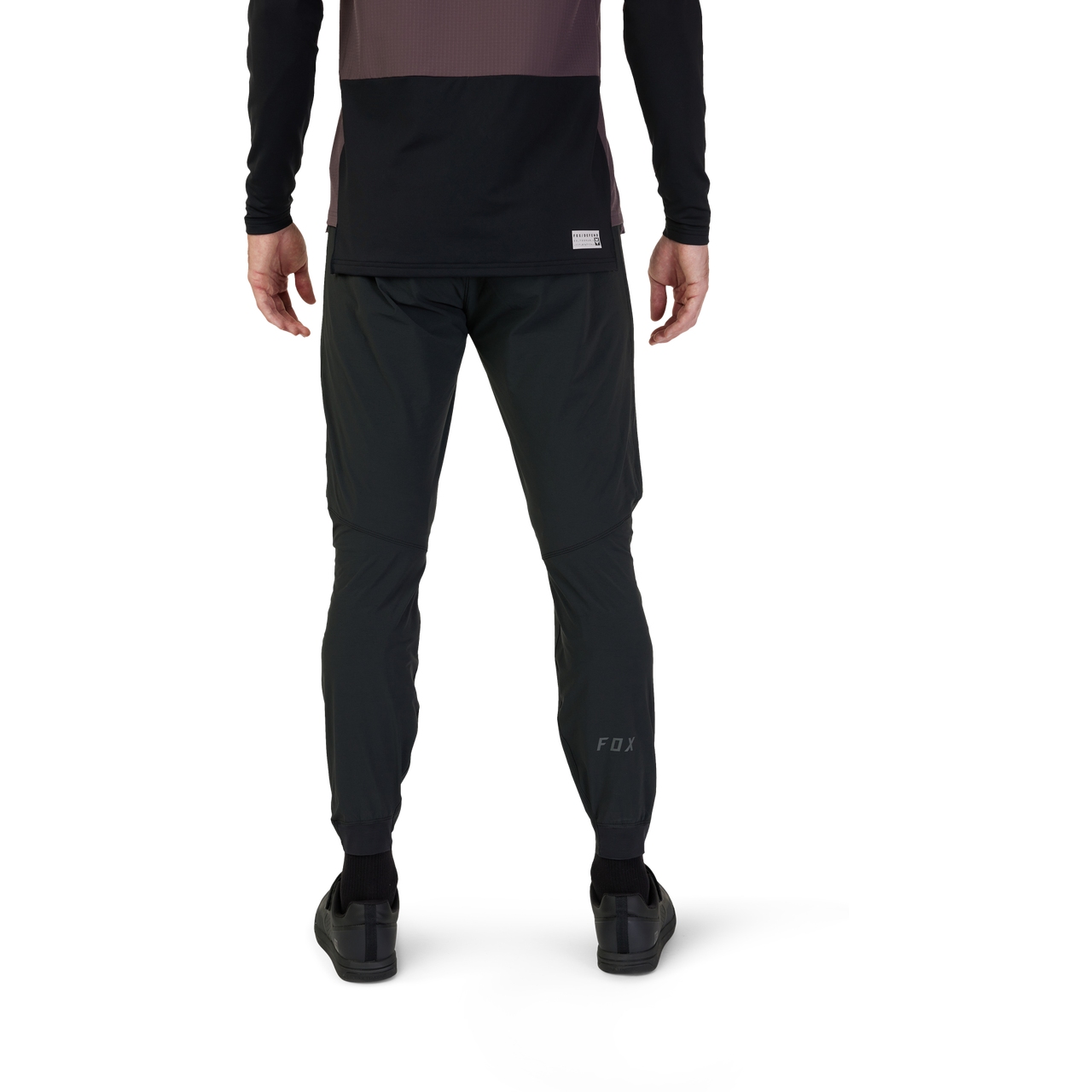 FOX Flexair Fire Pro Alpha MTB Pants Men - black | BIKE24