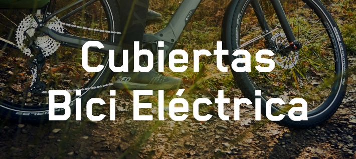 Bicicleta eléctrica con cubiertas Schwalbe