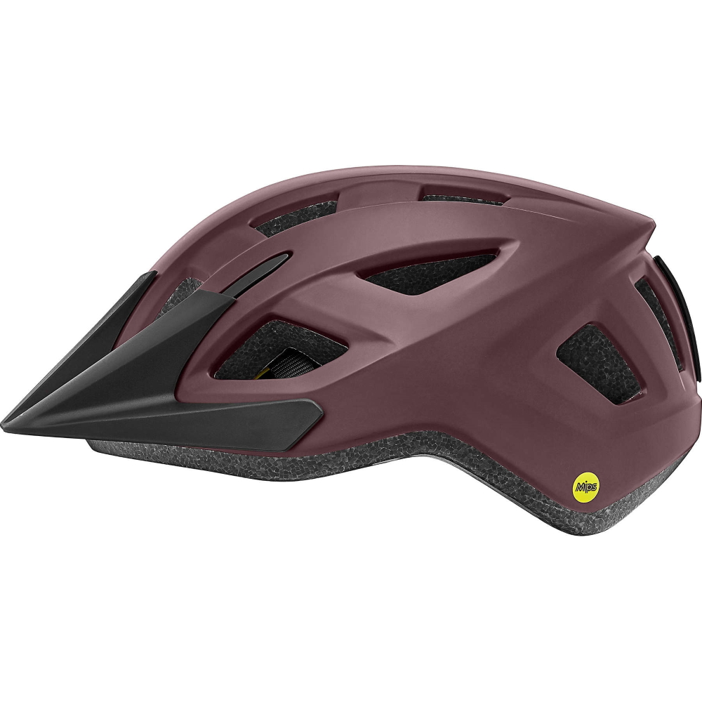 Picture of Liv Path MIPS Helmet - matte fig