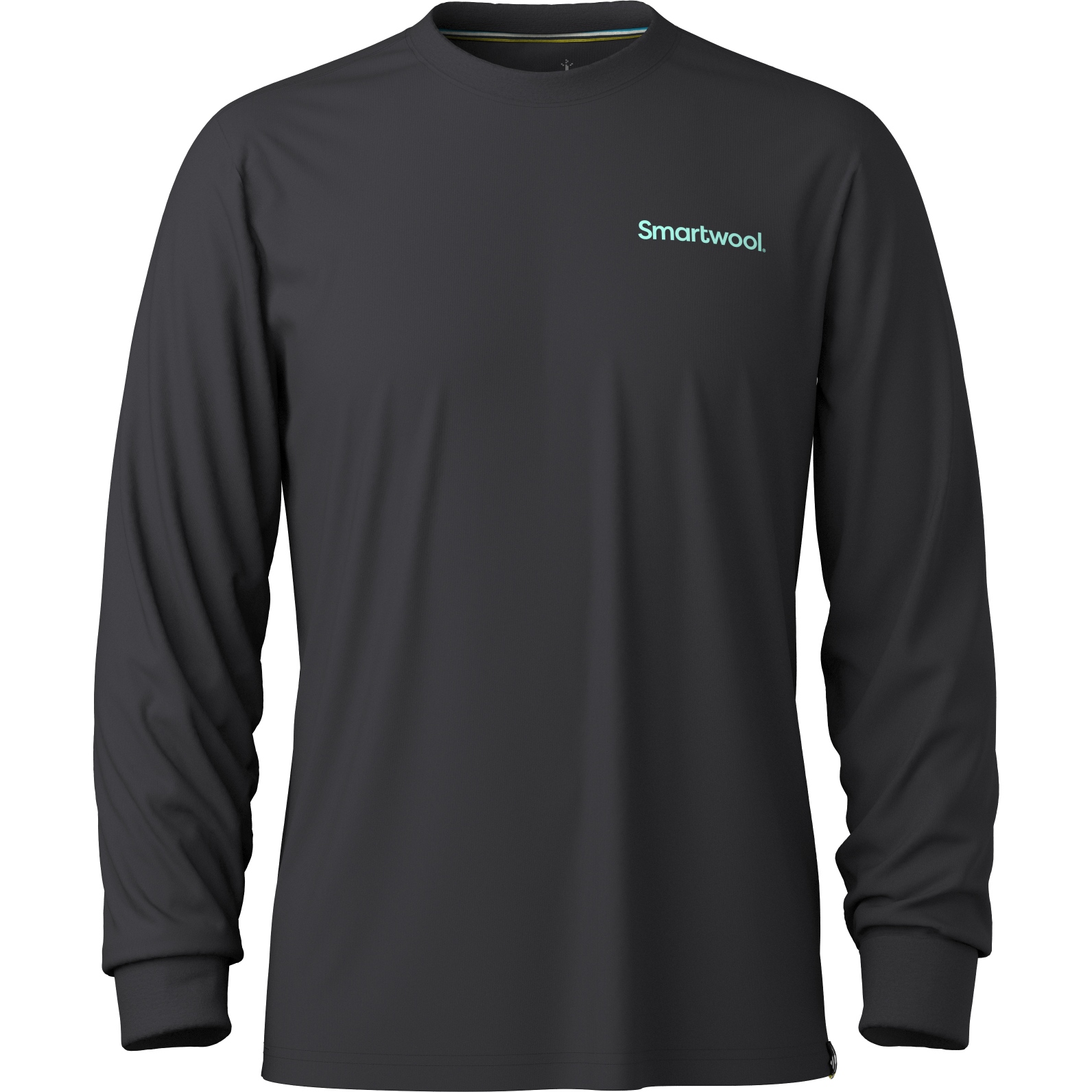 Футболка с длинным рукавом SmartWool Gondola View Graphic Унисекс - 001 black черный