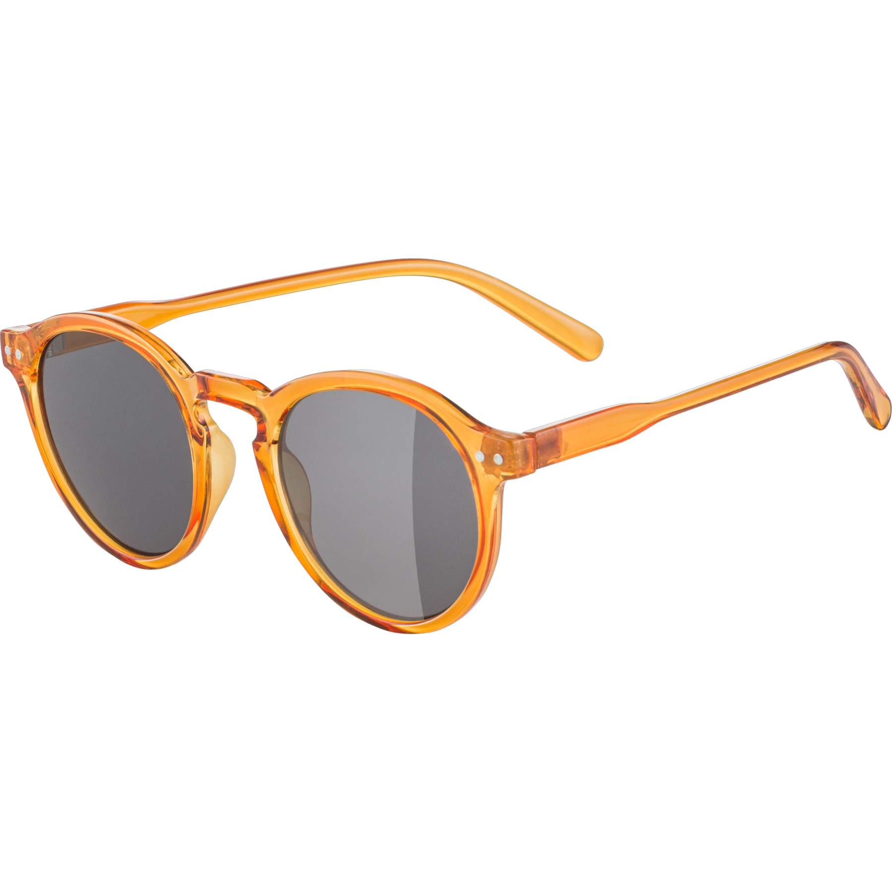 Produktbild von Alpina Sneek Brille - burrow-transparent gloss/blue
