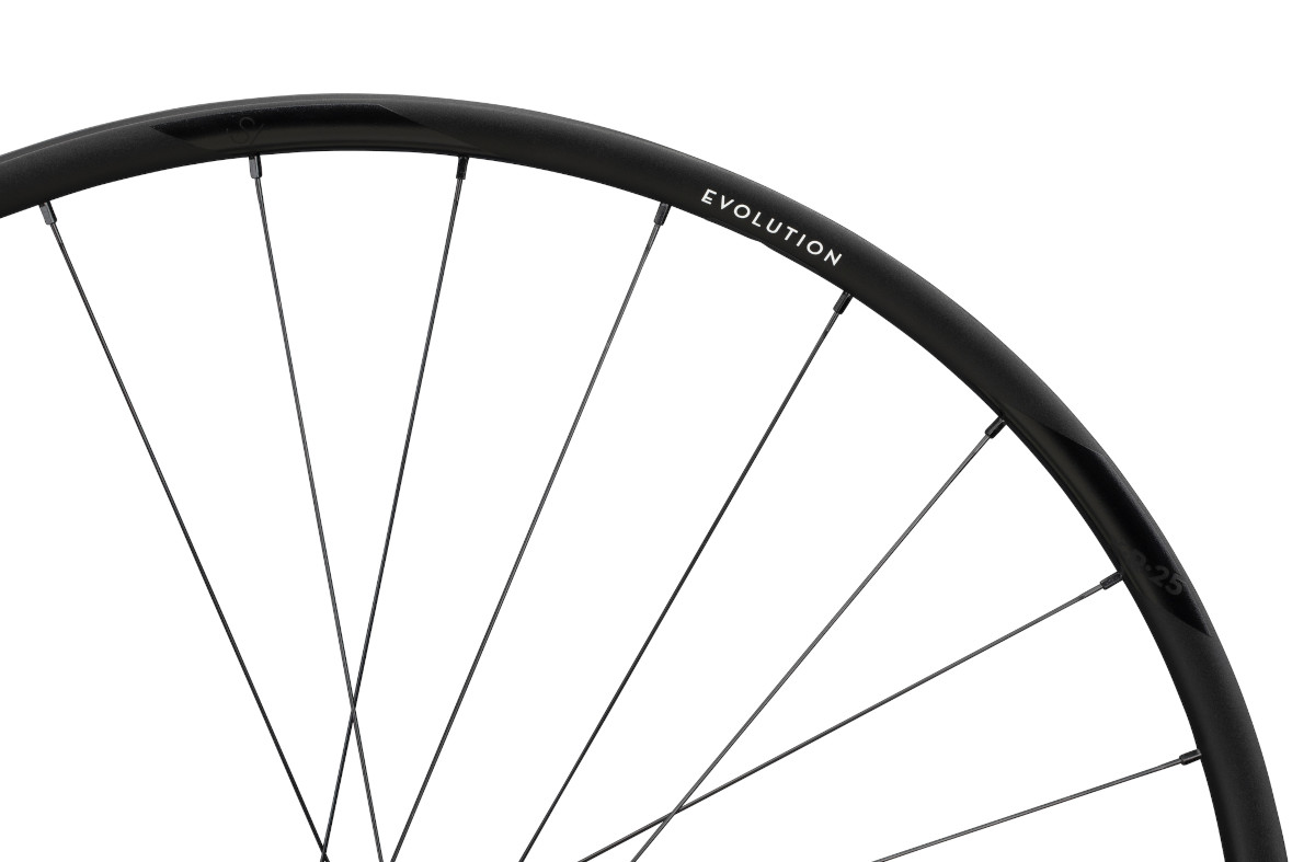 Newmen Evolution SL Rear Wheel 29