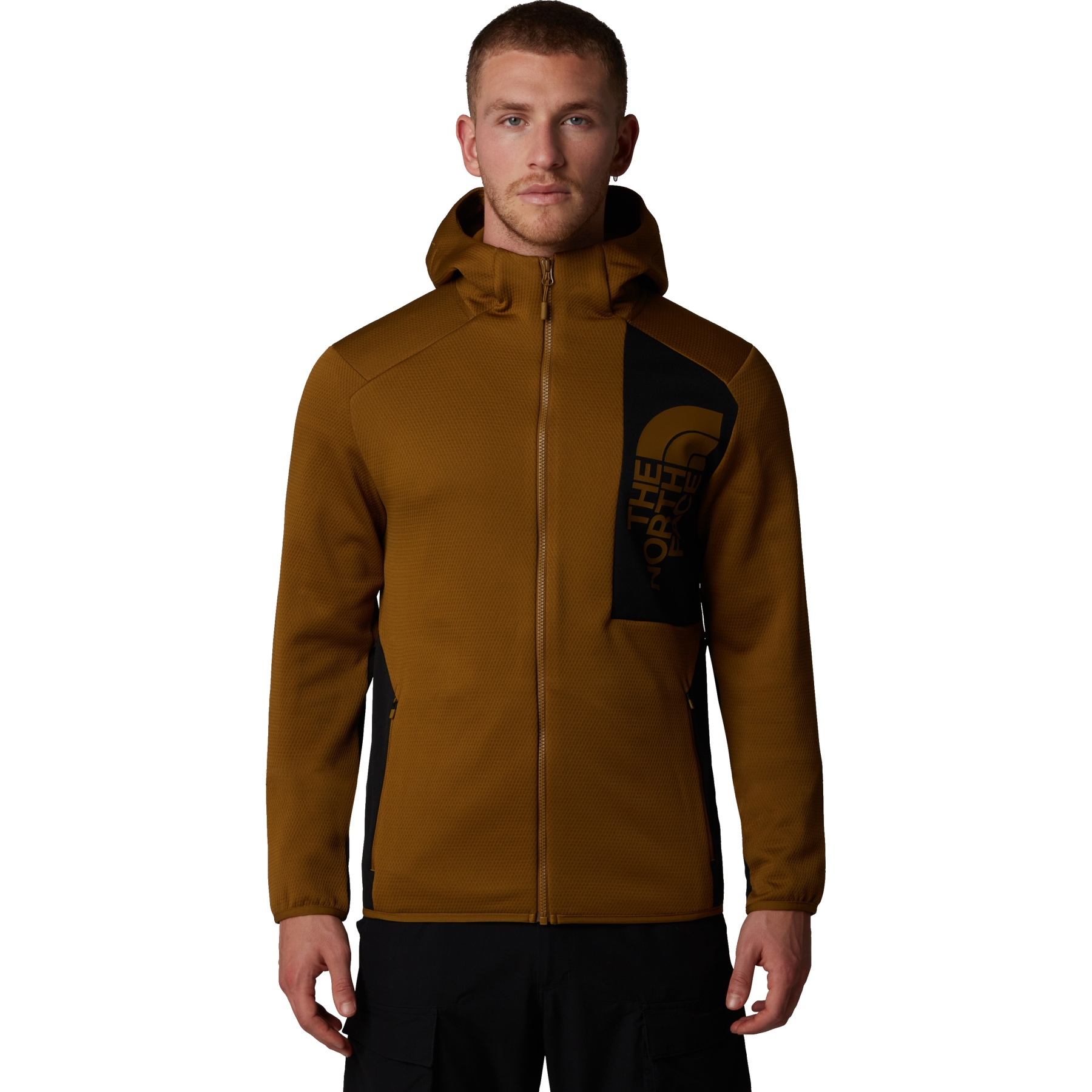 Mens north face hooded fleece online