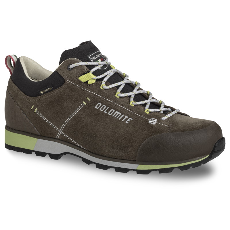 Picture of Dolomite 54 Hike Low Evo GTX Shoes - Mud Green/Green