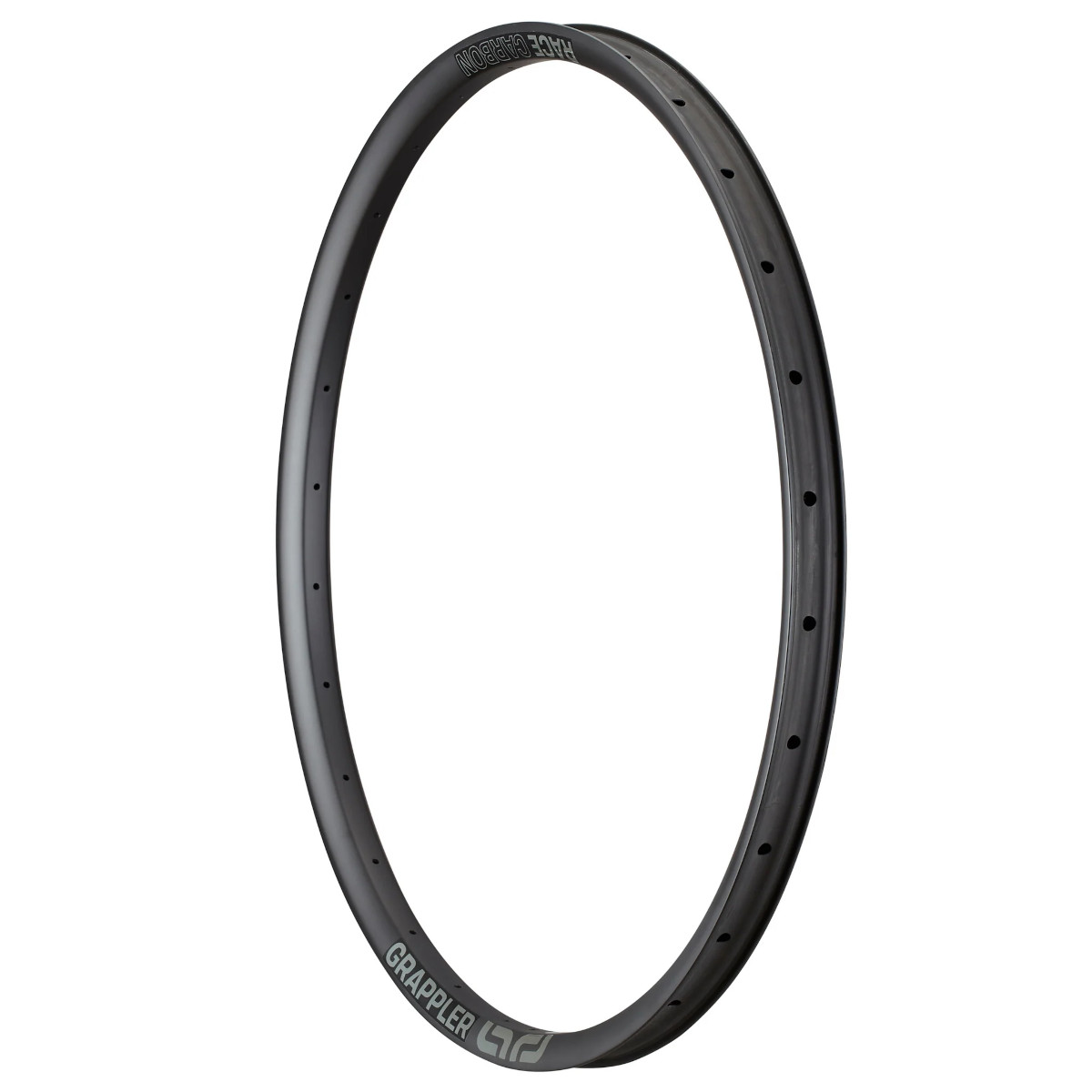 Picture of e*thirteen Grappler Race Carbon Enduro - 29&quot; MTB Rim