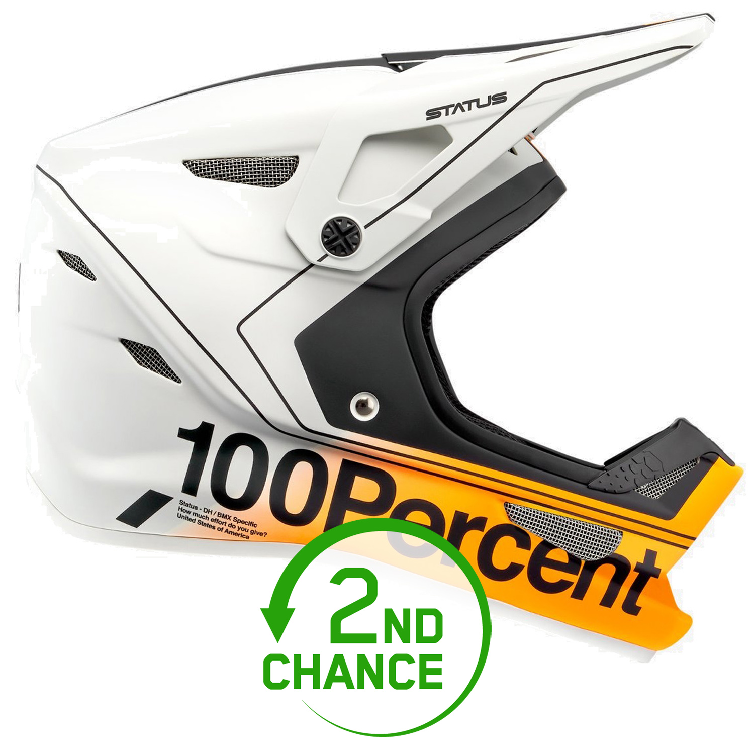 Produktbild von 100% Status DH/BMX Helm - Charby Silver - B-Ware