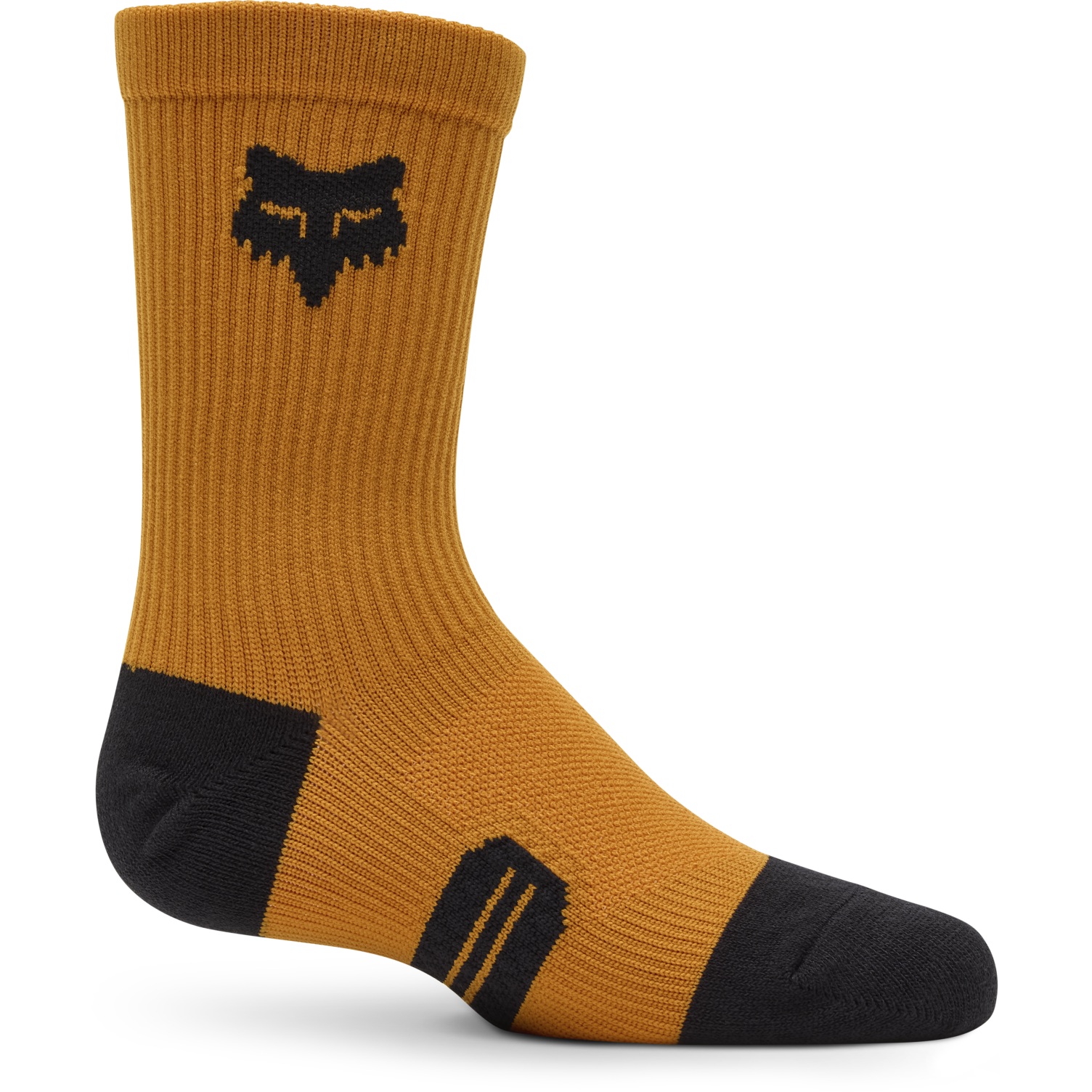 Produktbild von FOX Ranger Crew 6&quot; Radsocken Kinder - caramel