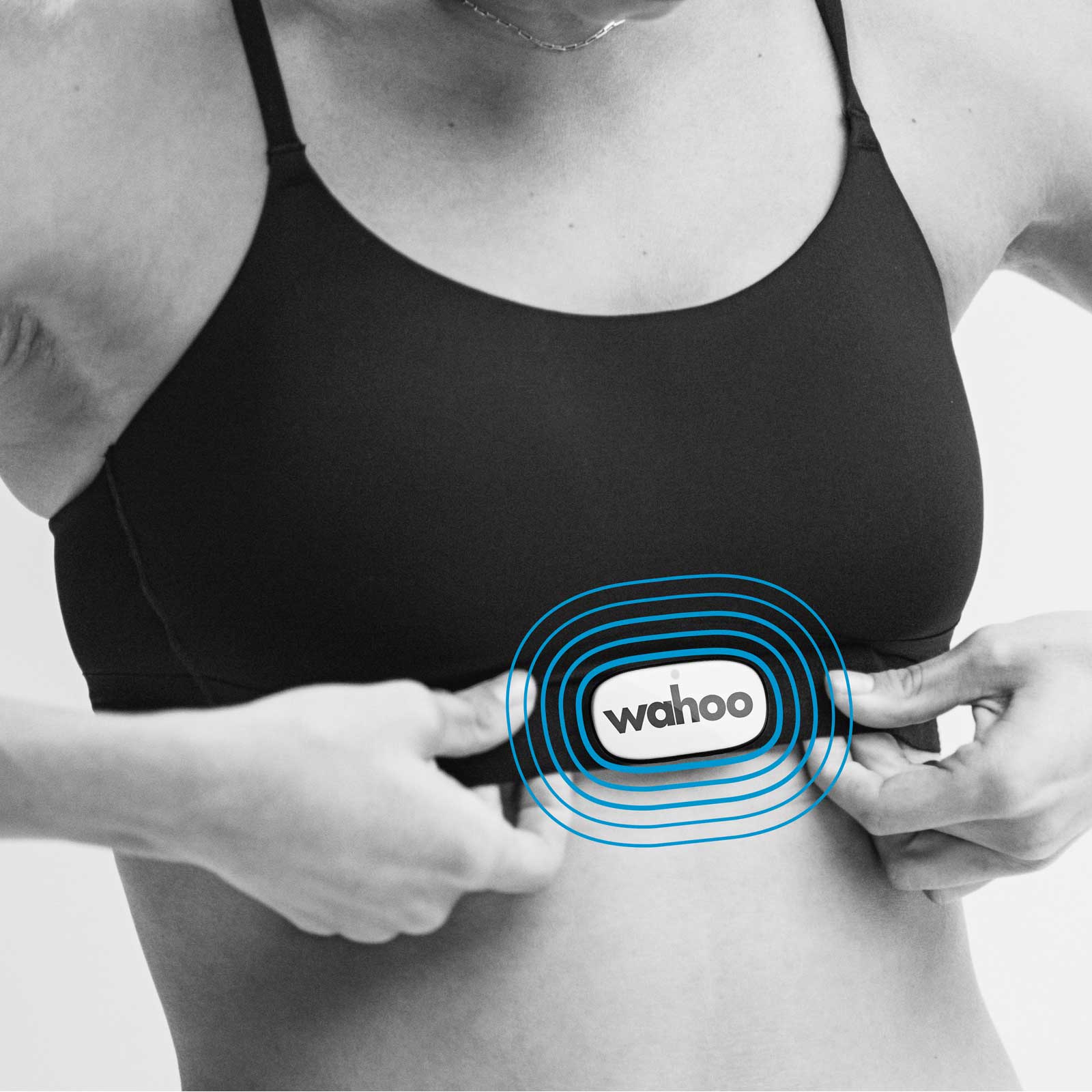 Wahoo TRACKR Heart Rate Monitor 中古・美品 Wahoo TRACKR Heart Rate Monitor – 99 Bikes
