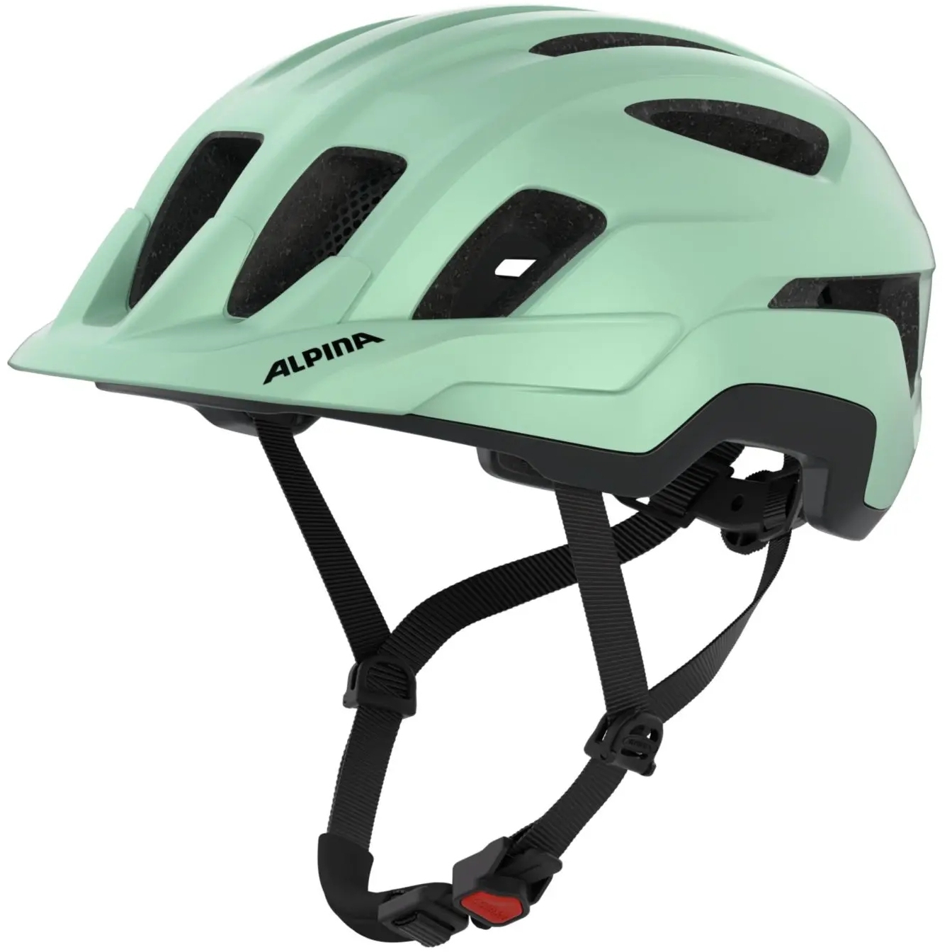 Bild von Alpina Paranus Helm - pastel green matt