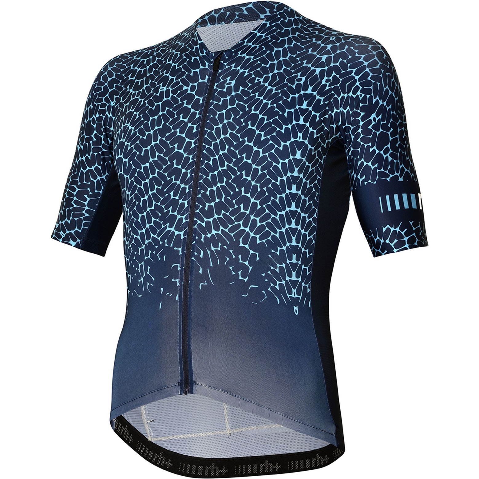 Picture of rh+ Speed Jersey Men - Network Absolute Blue
