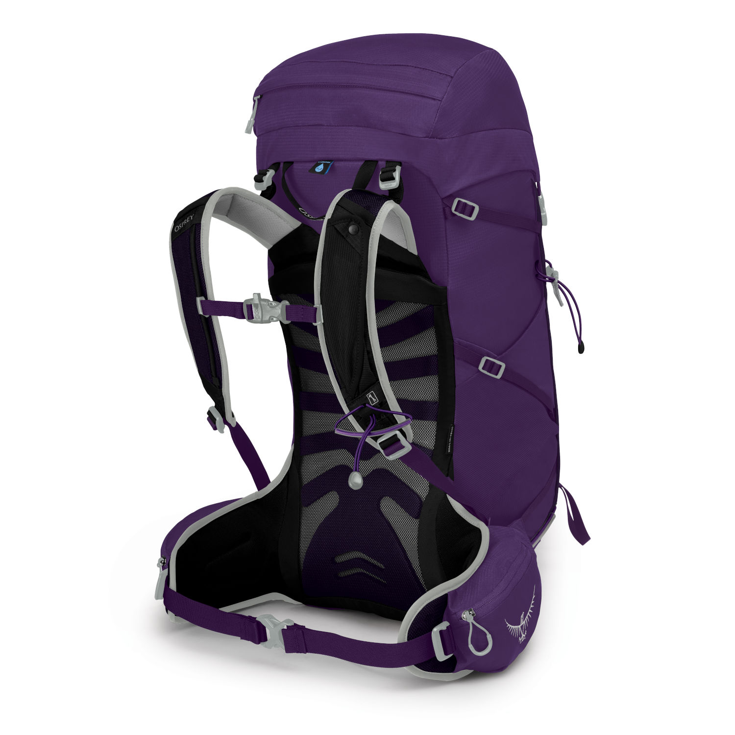 Osprey tempest 30 women's 2024 backpack