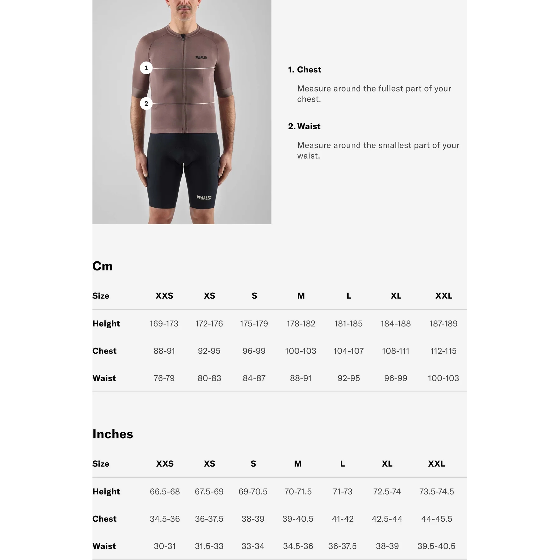 PEdALED Odyssey Thermal Light Alpha™ Vest Men - Beige 27WTVOD | BIKE24