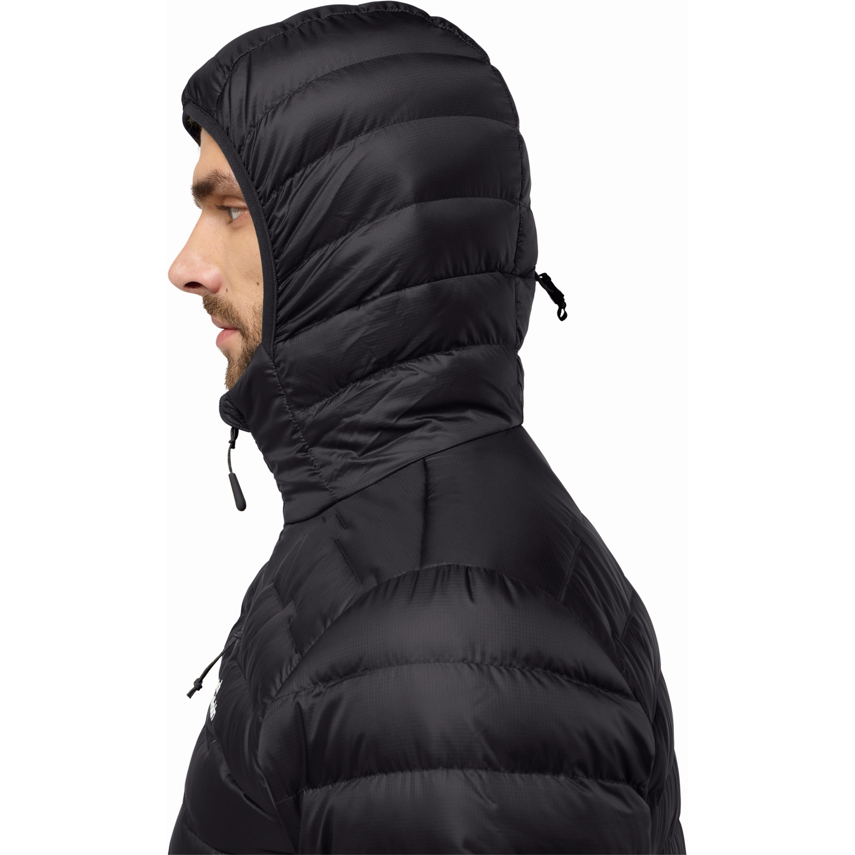 Jack Wolfskin Passamani Down Hoody Jacket Men Rds - phantom | BIKE24