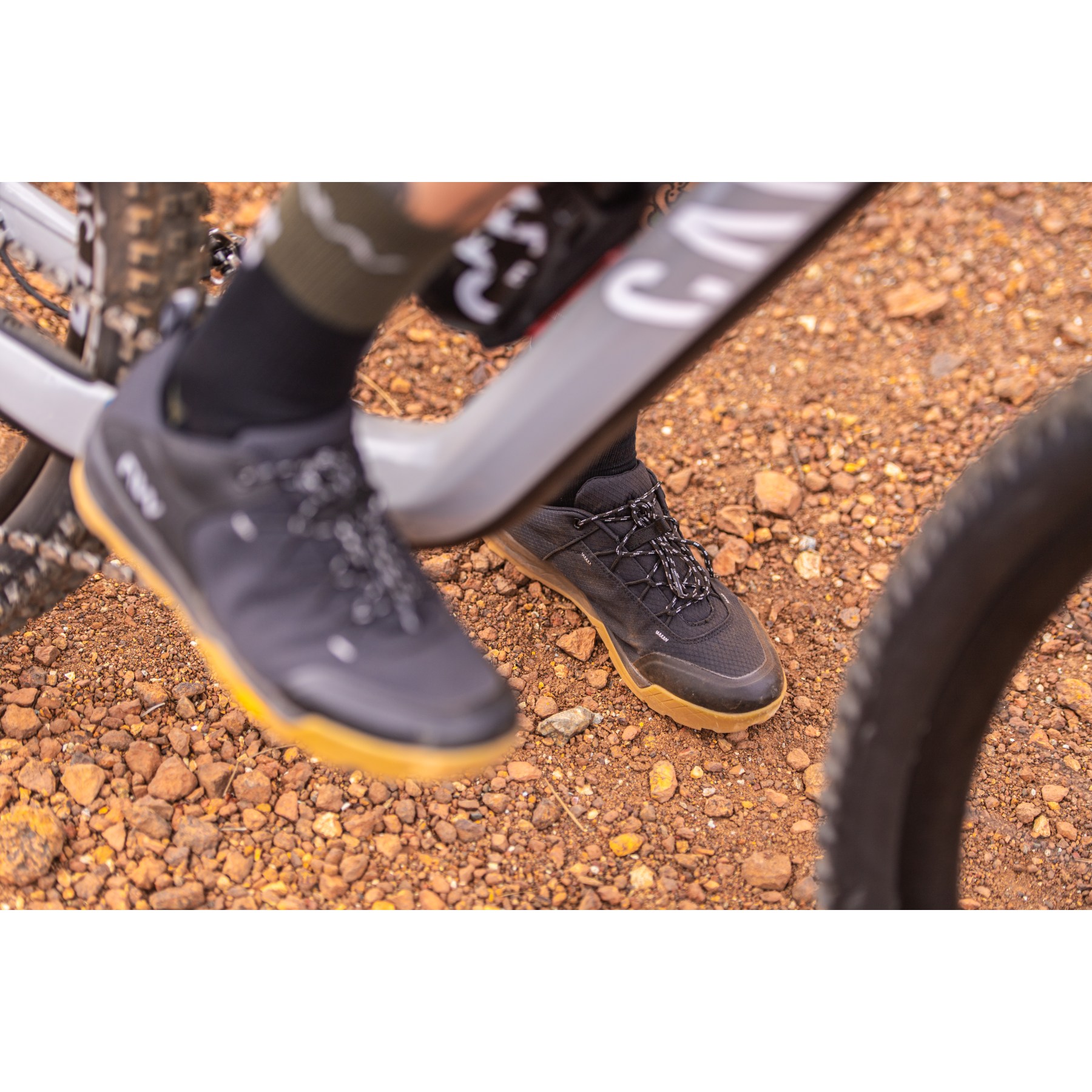 Northwave Rockit MTB Shoes Men - light grey/red fluo 88 | BIKE24