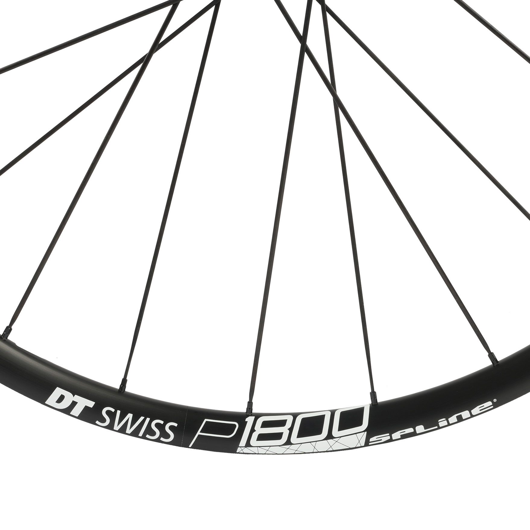 DT Swiss P 1800 SPLINE db 23 Wheelset - Clincher - Centerlock
