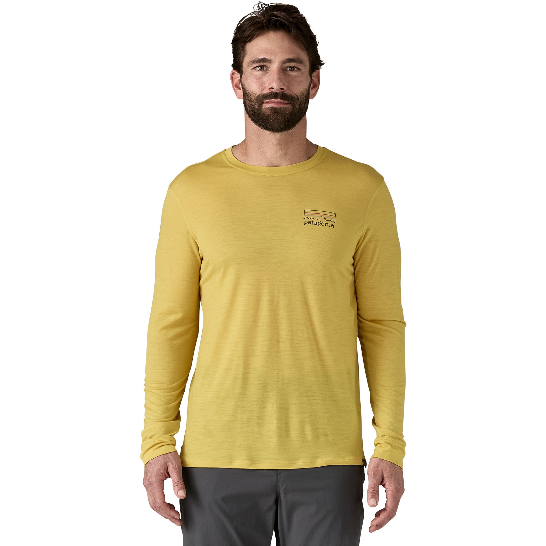 Produktbild von Patagonia Capilene Cool Merino Graphic Langarmshirt Herren - Fitz Roy Strata: Bundle Green