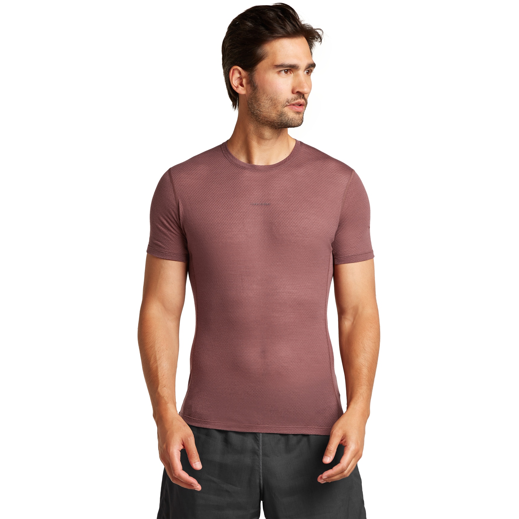 Bild von Icebreaker Merino 75 Cool-Lite™ Featherlight™ Crewe T-Shirt Herren - Carob