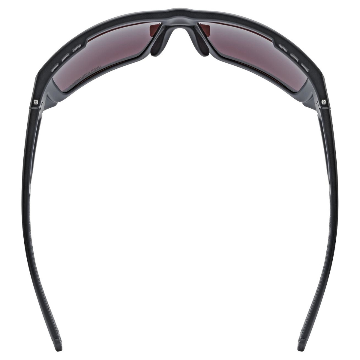 Gafas de esquí ajustables a prueba de viento con lentes tintados
