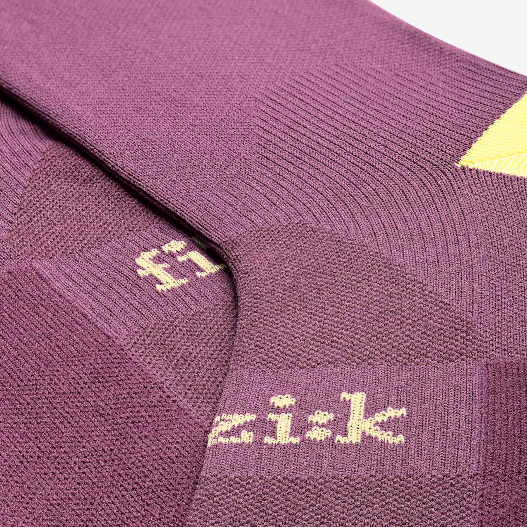 Fizik Team Edition Cycling Socks grape BIKE24